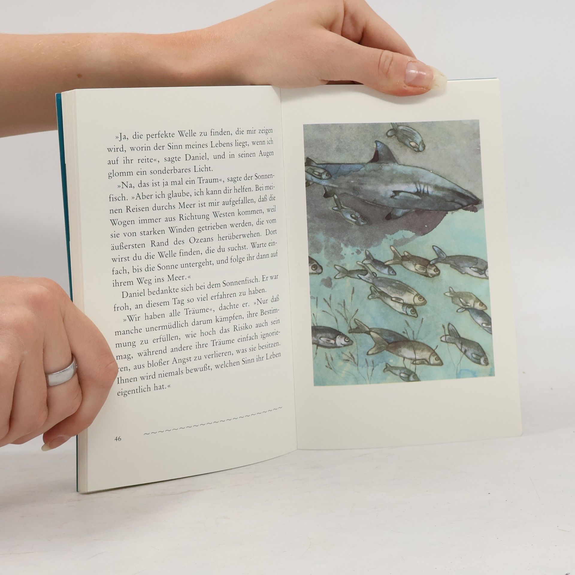 Sergio Bambarén Der träumende Delphin. Eine magische Reise zu dir selbst