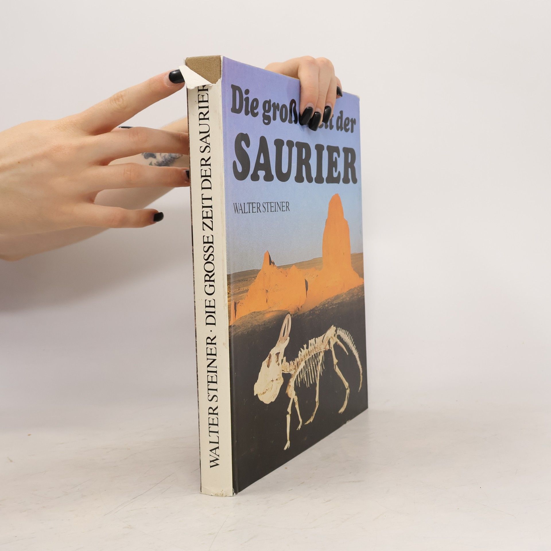 Walter Steiner Die grosse Zeit der Saurier