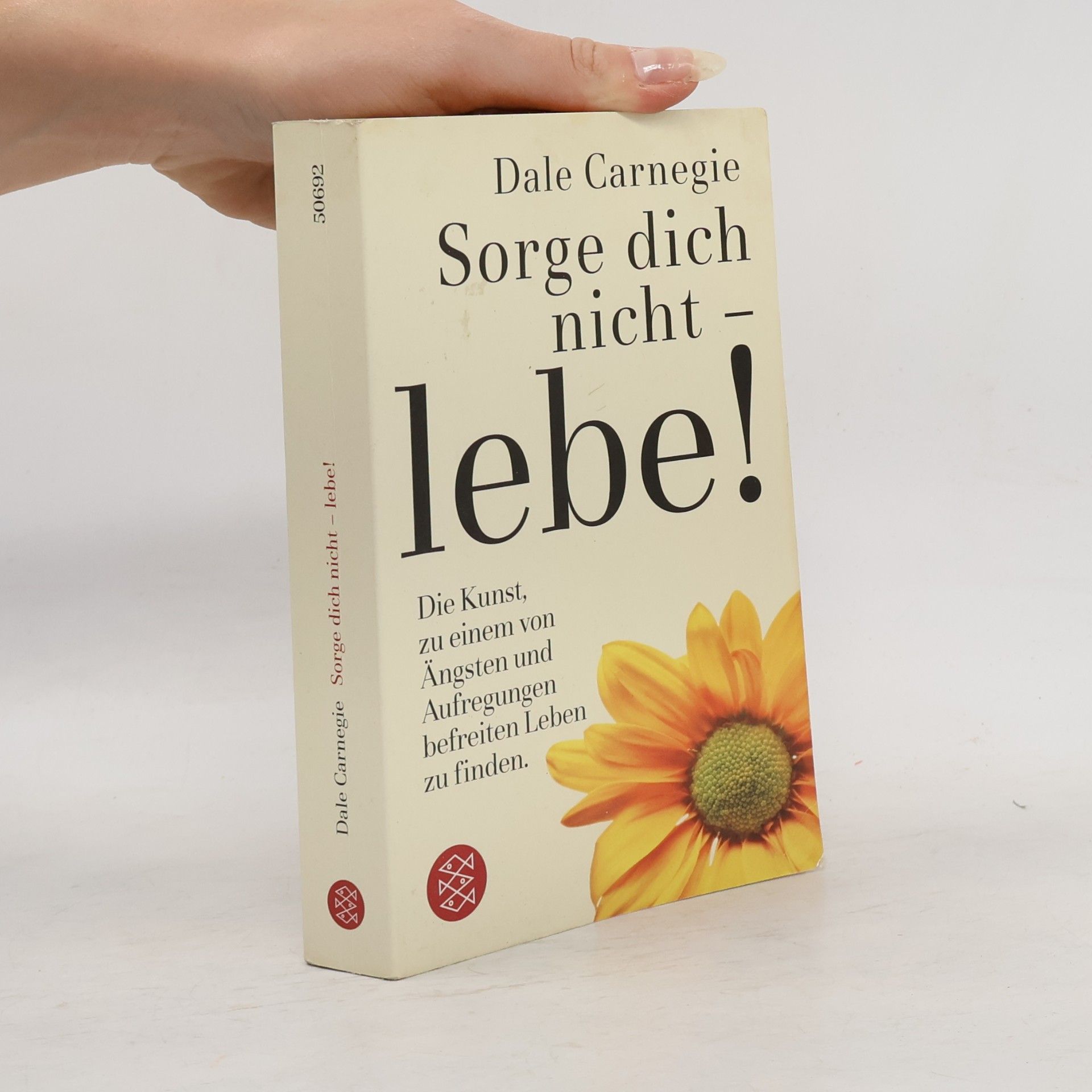 Dale Carnegie Sorge dich nicht - lebe!