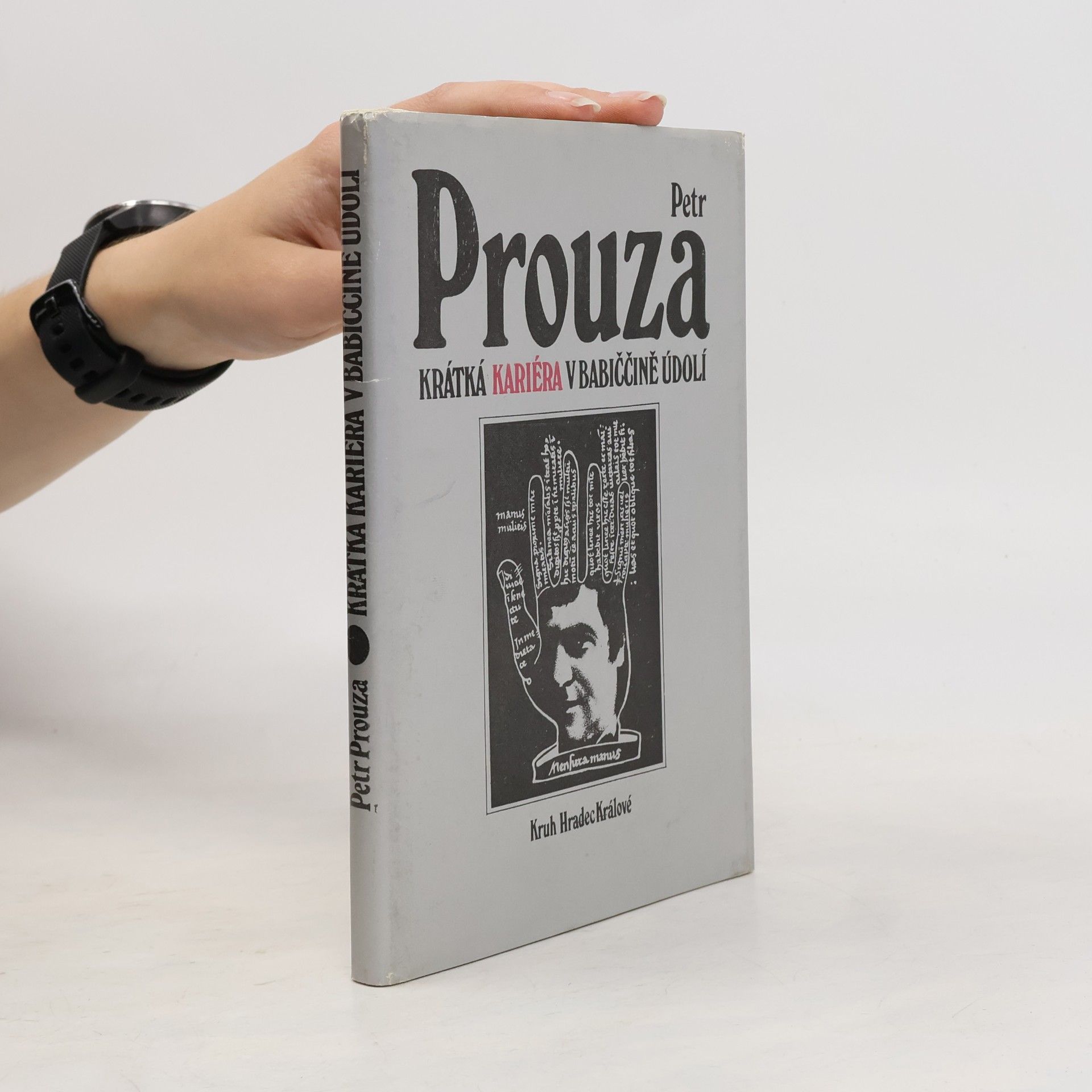 Petr Prouza Krátká kariéra v Babiččině údolí
