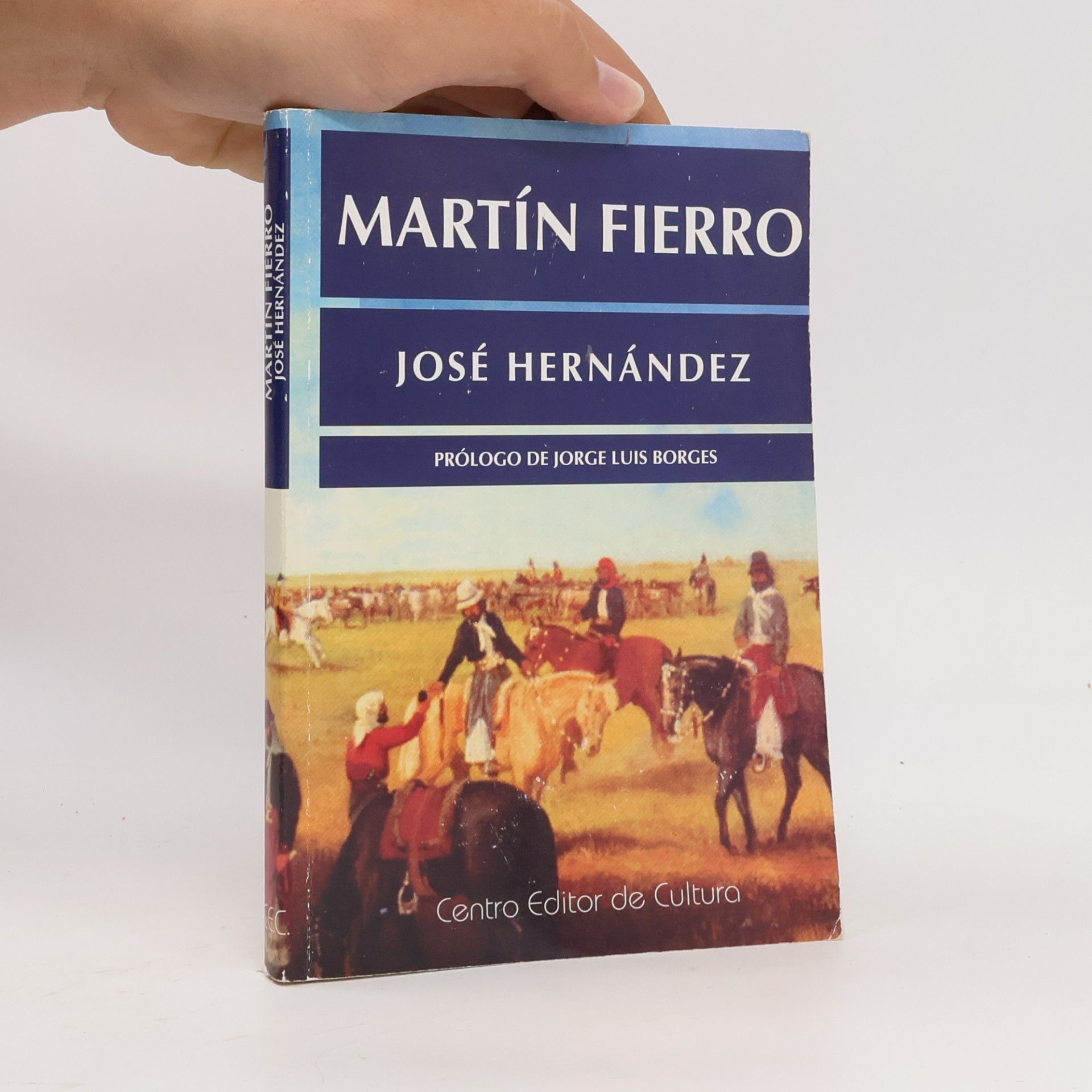 José Hernández Martín Fierro