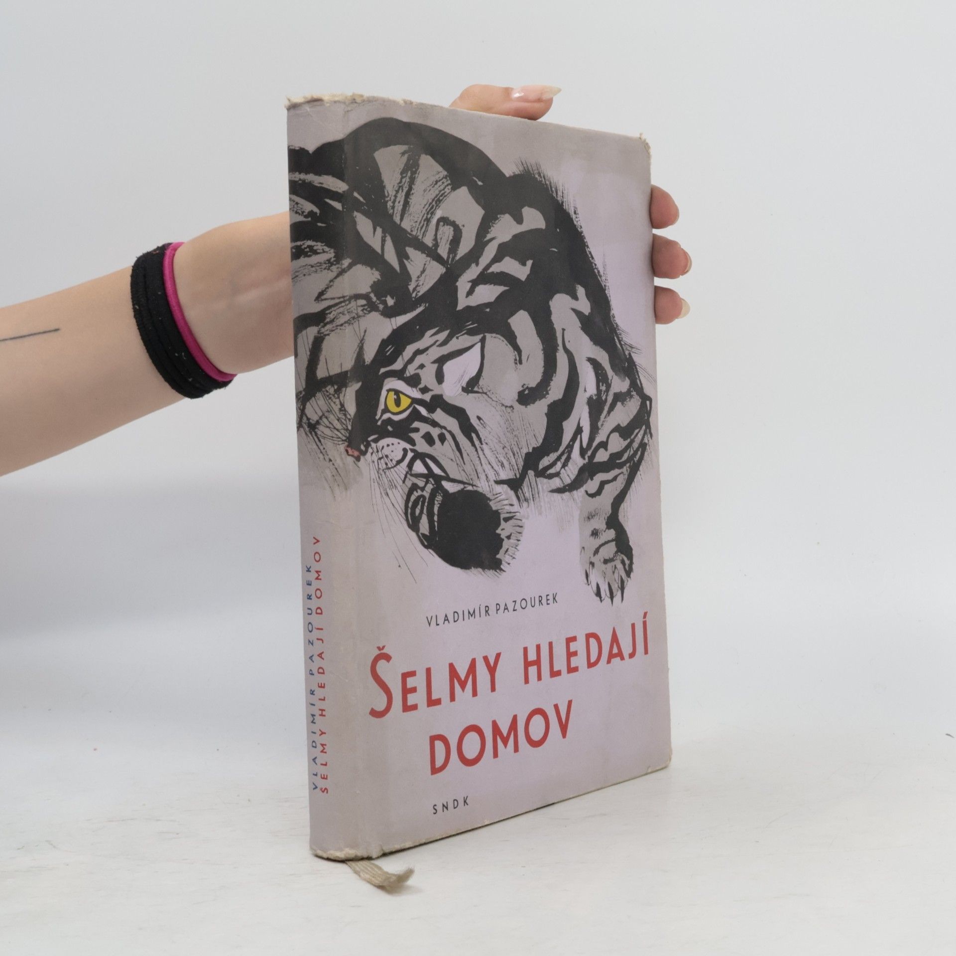 Vladimír Pazourek Šelmy hledají domov