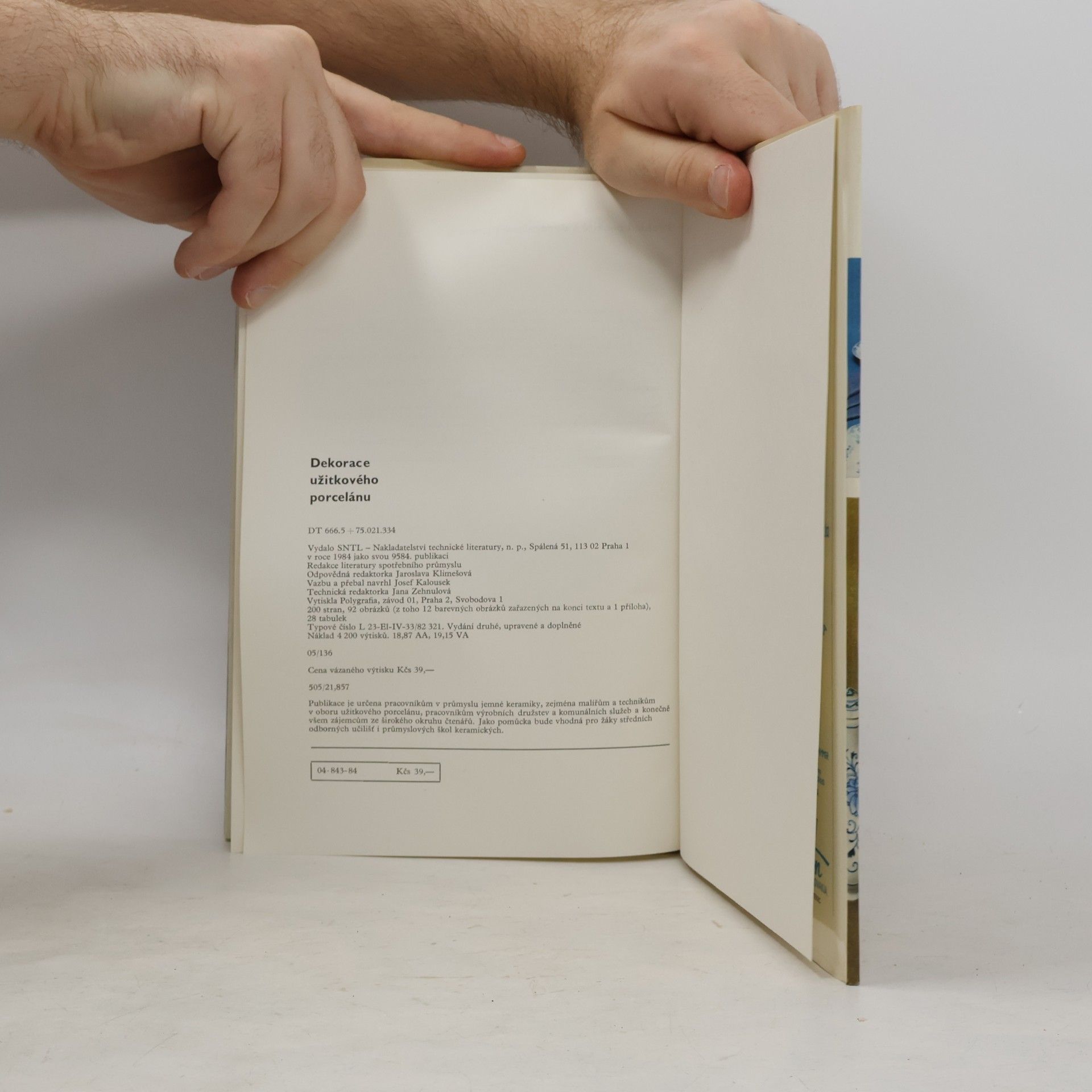 Various authors Dekorace užitkového porcelánu