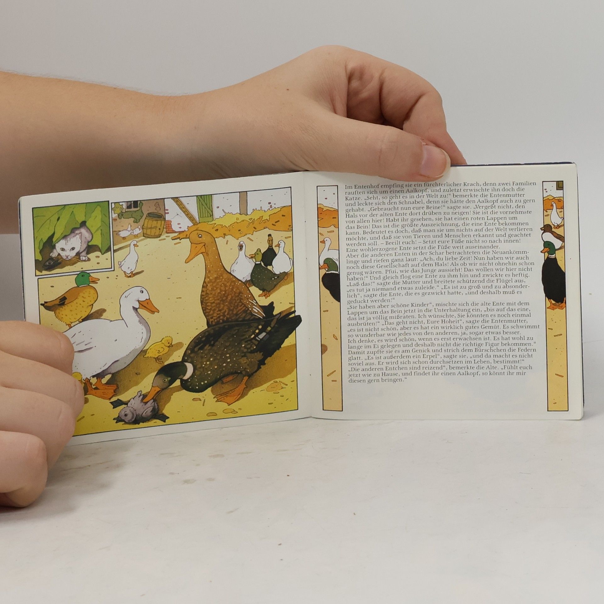 Hans Christian Andersen Das häßliche Enteiln