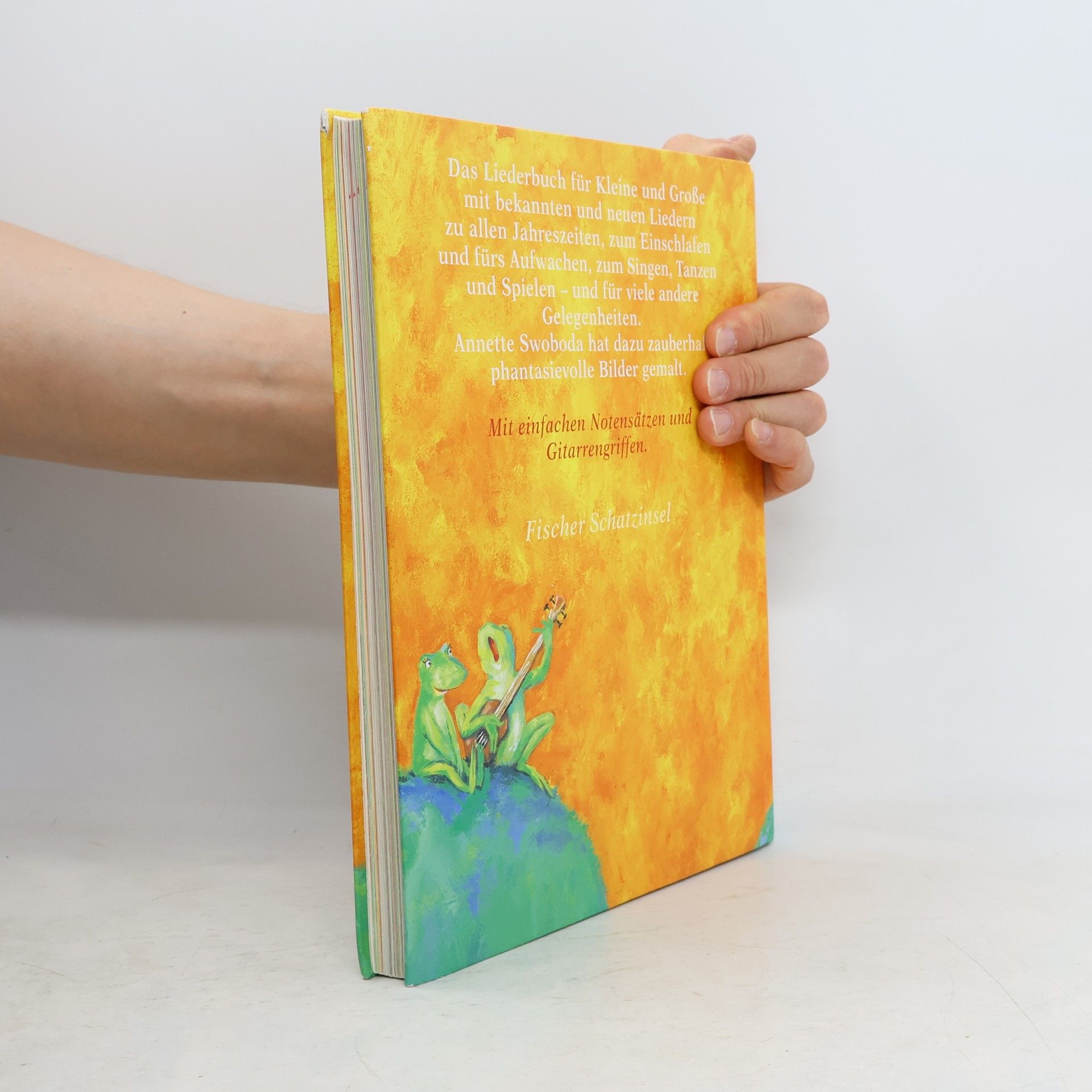 Catrin Frischer Das Liederbuch