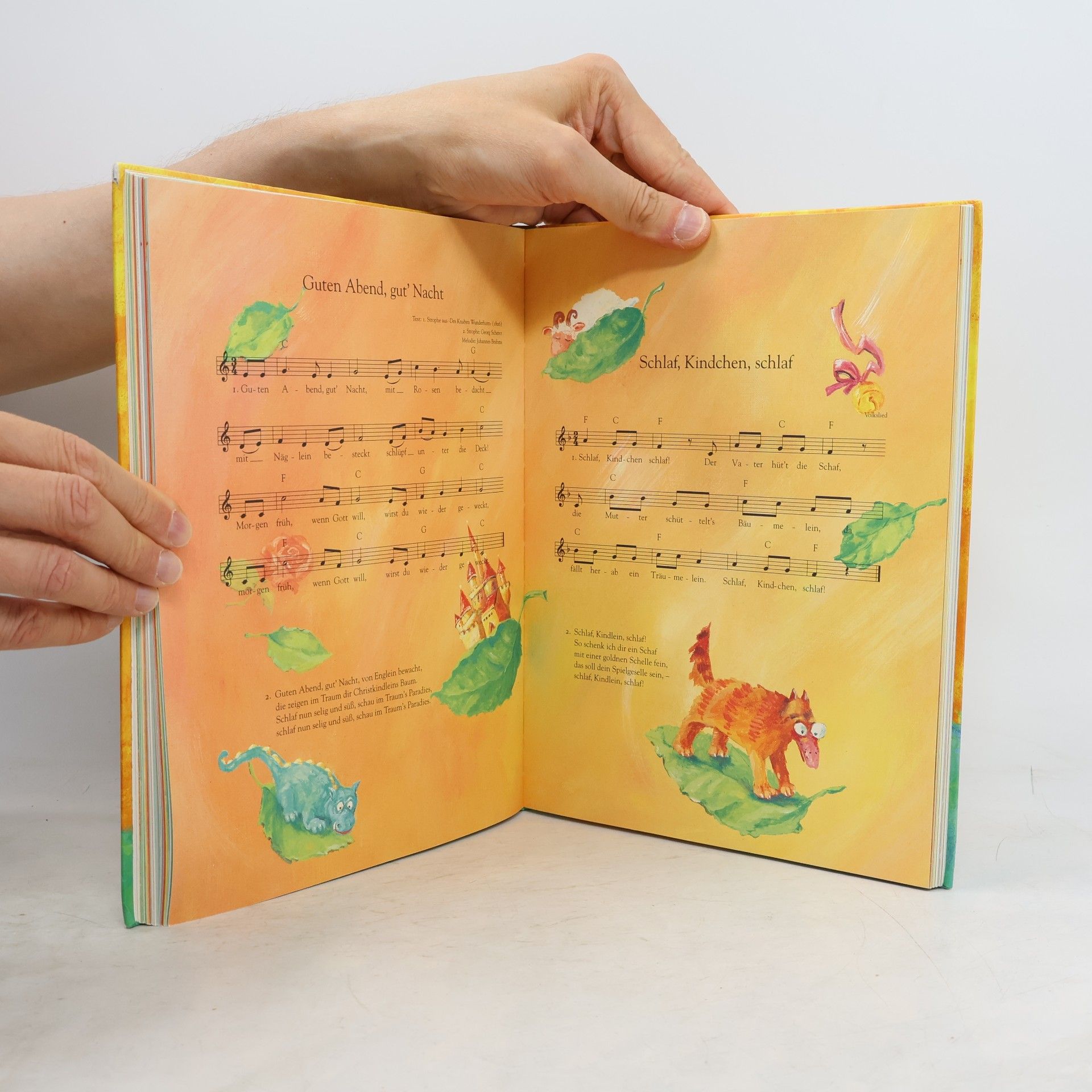 Catrin Frischer Das Liederbuch