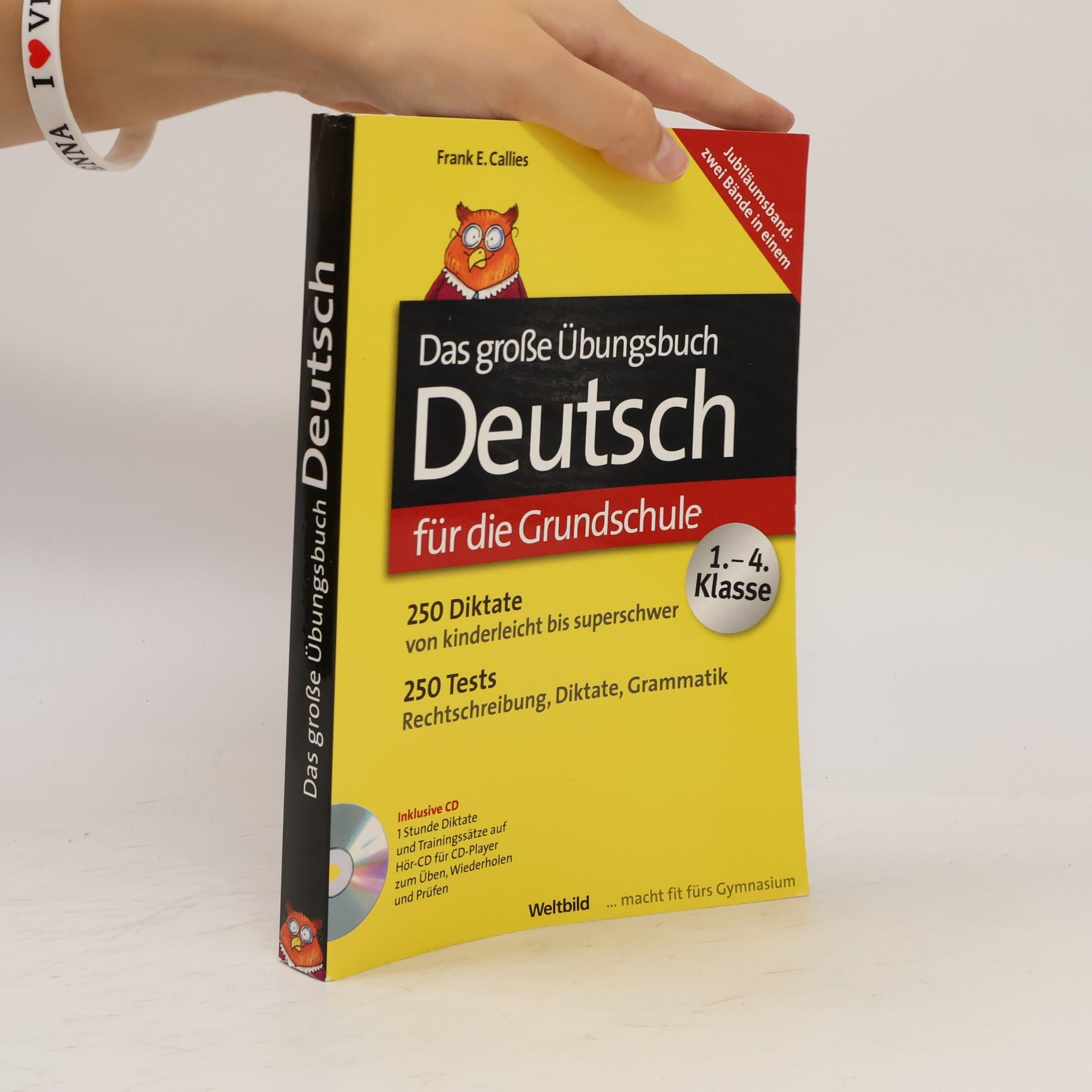Das große ÜbungsBook Deutsch für die Grundschule 250 Dik... Book