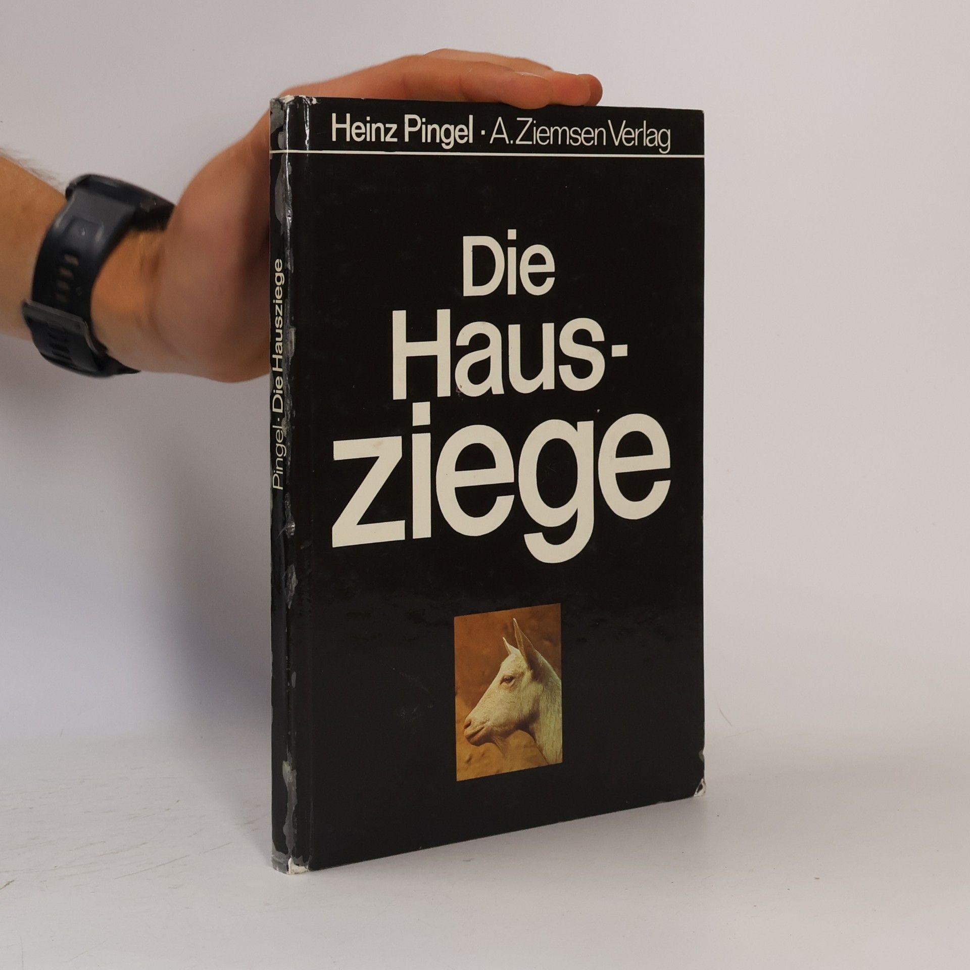 Die Hausziege