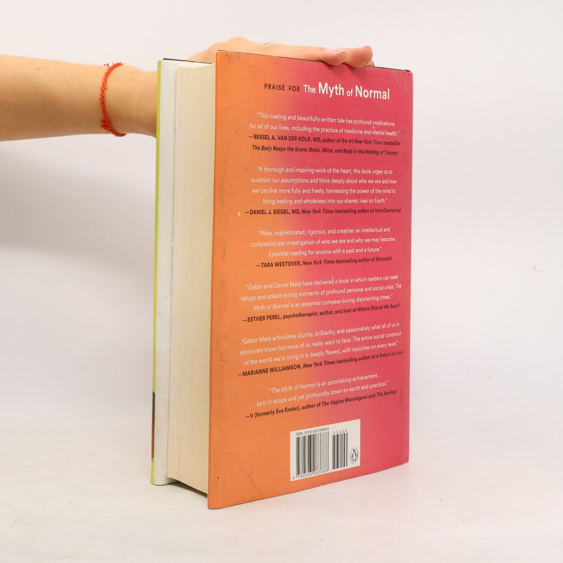 Gabor Maté The Myth of Normal
