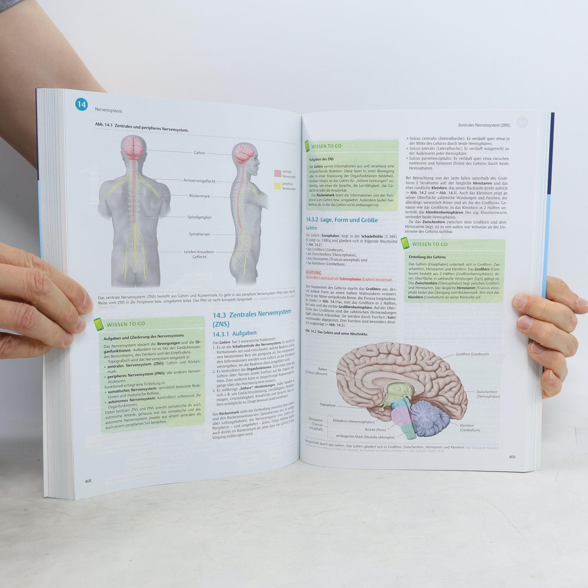 Autorenkollektiv I care Anatomie Physiologie