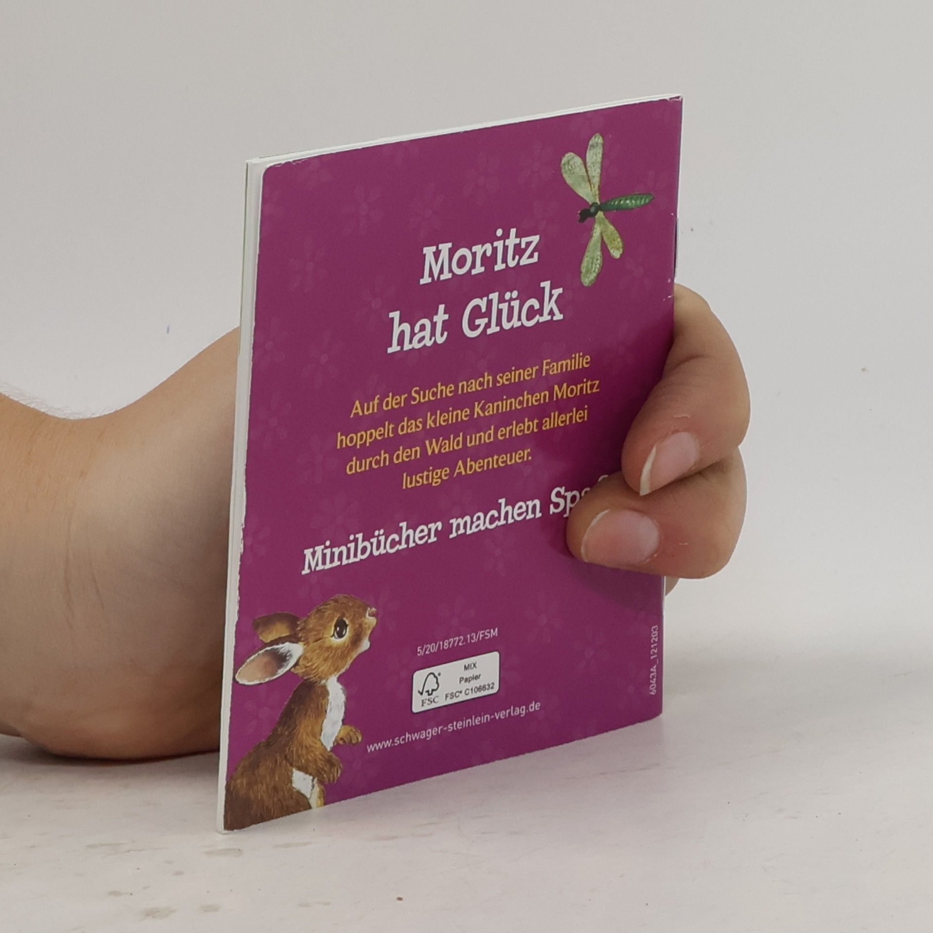 Kolektív autorov Moritz hat Glück