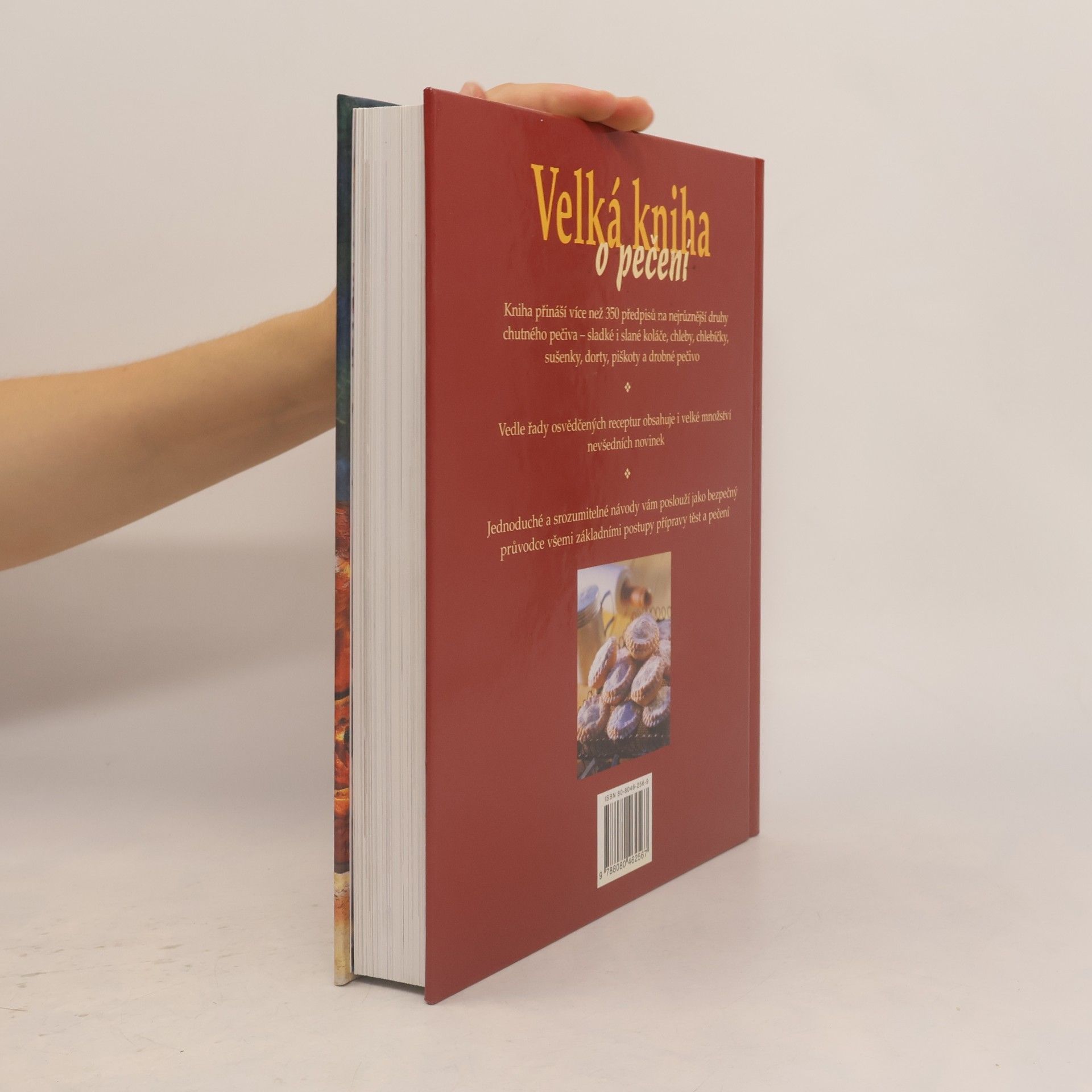 Deborah Gray Velká kniha o pečení