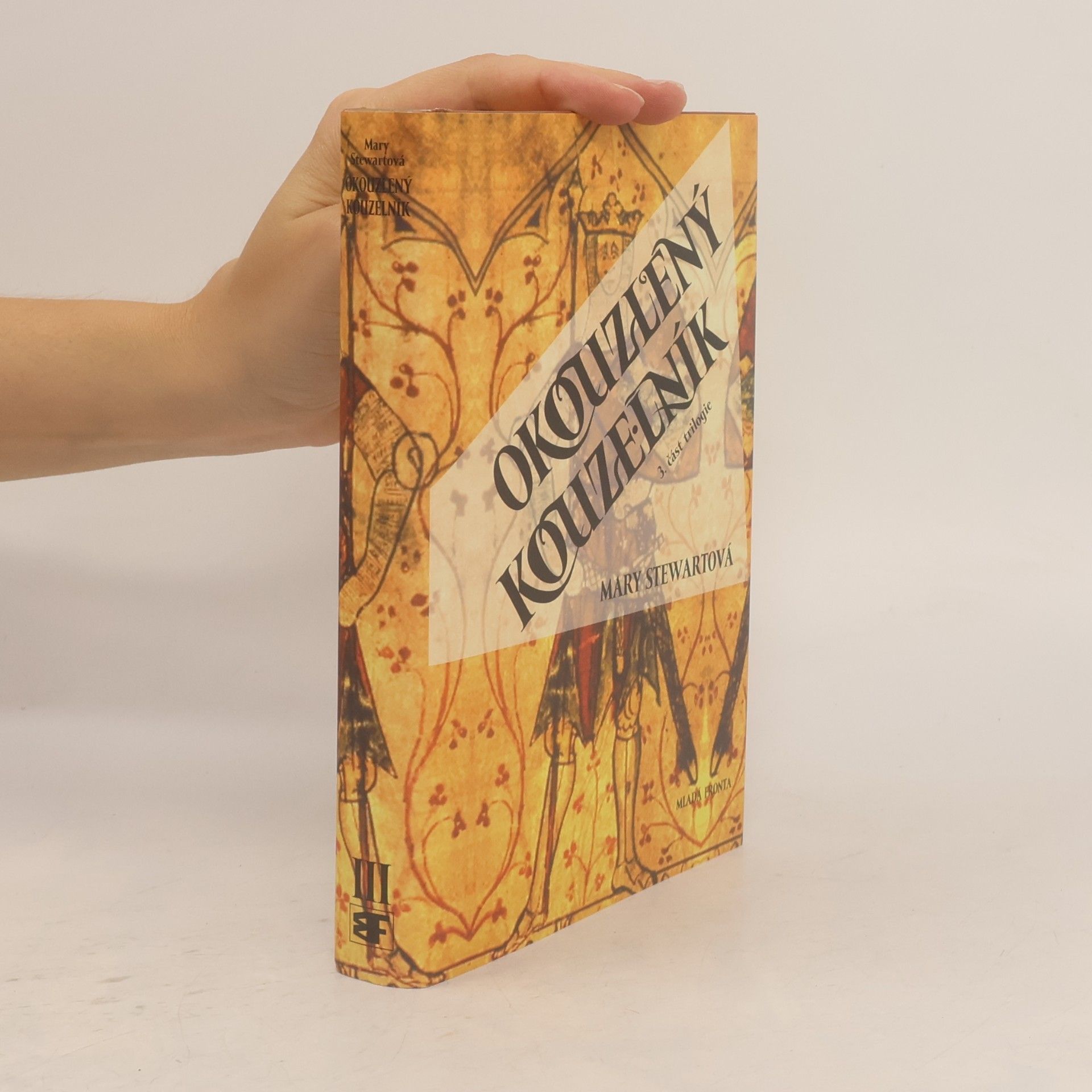 Mary Stewart Okouzlený kouzelník