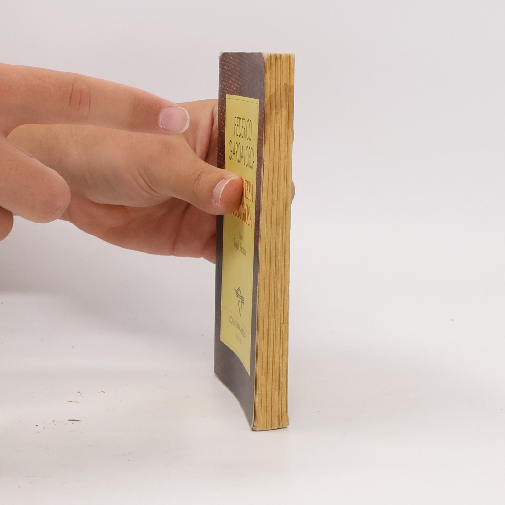 Federico García Lorca La zapatera prodigiosa