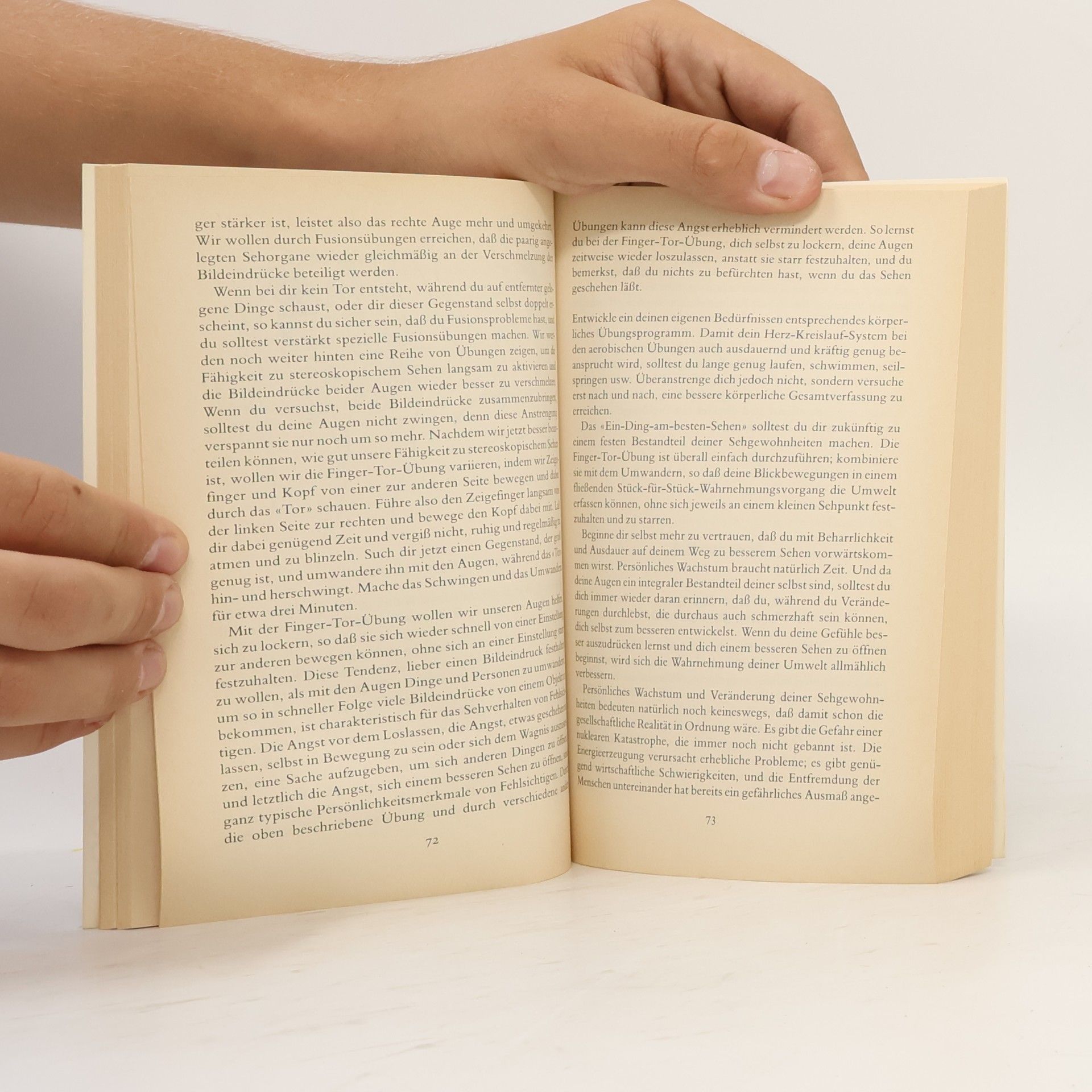 Lisette Scholl Das Augenübungsbuch