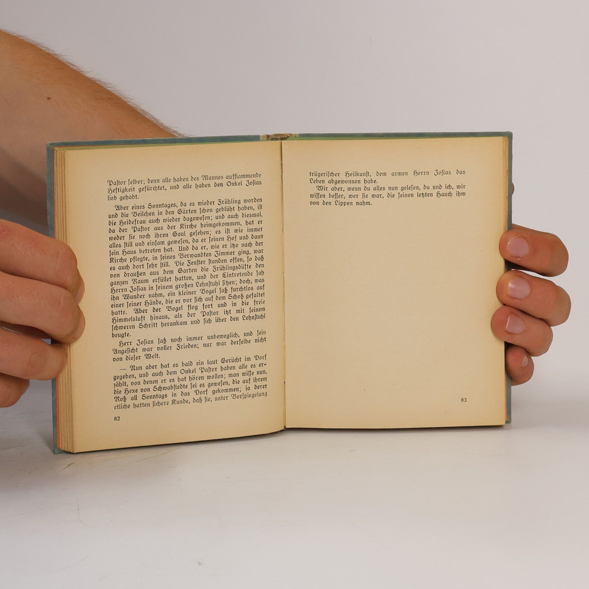 Theodor Storm Ausgewählte Werke 3