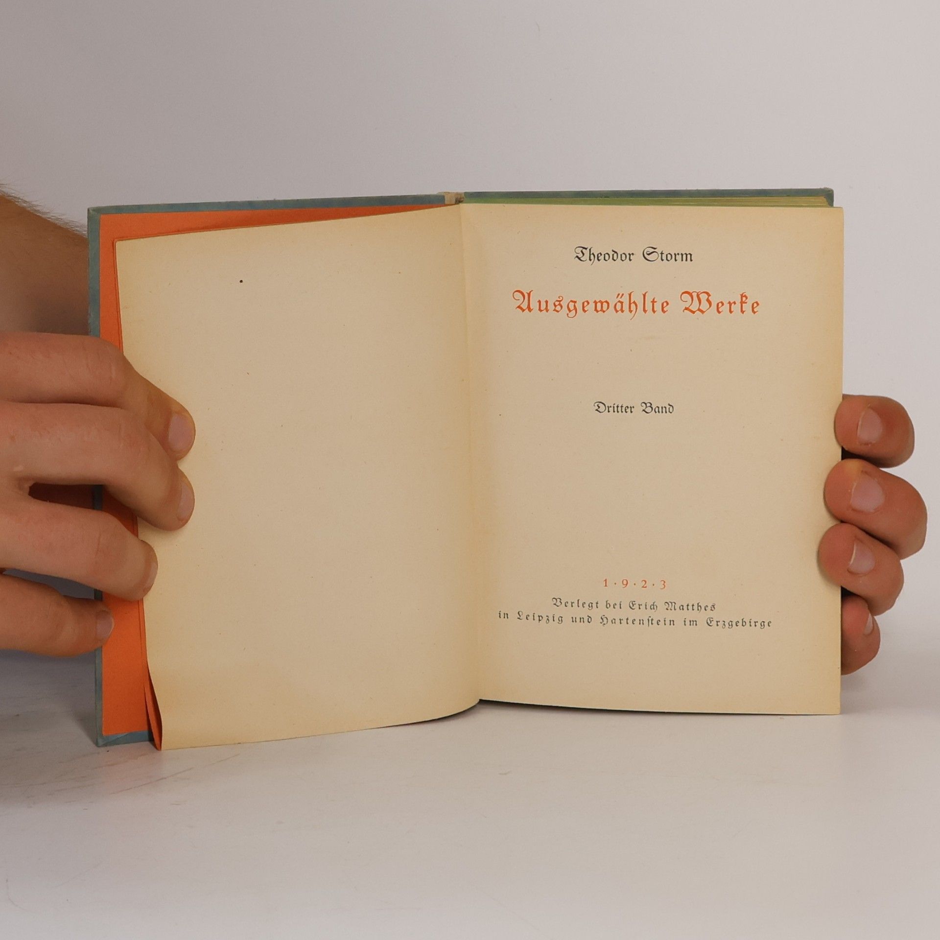 Theodor Storm Ausgewählte Werke 3