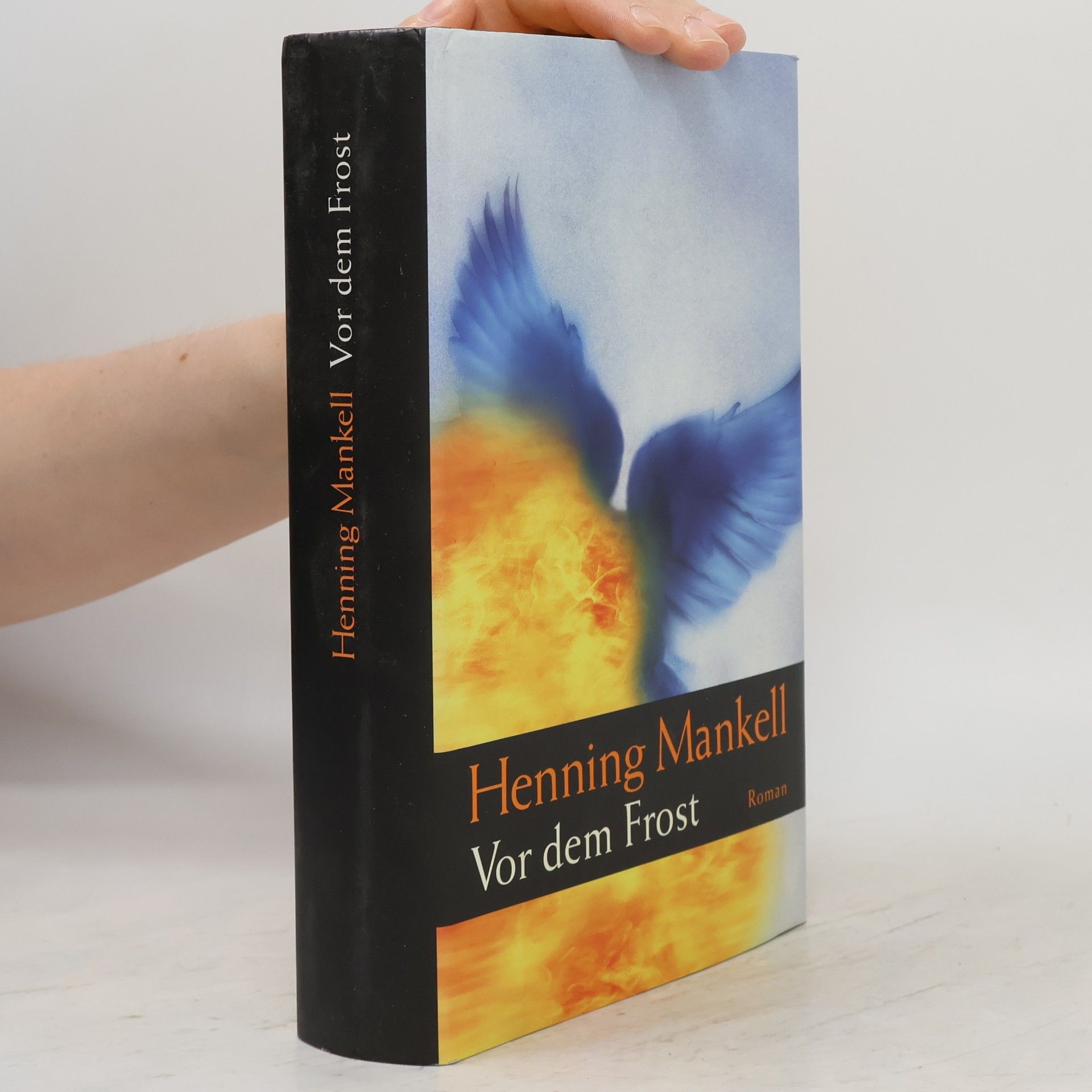 Henning Mankell Vor dem Frost