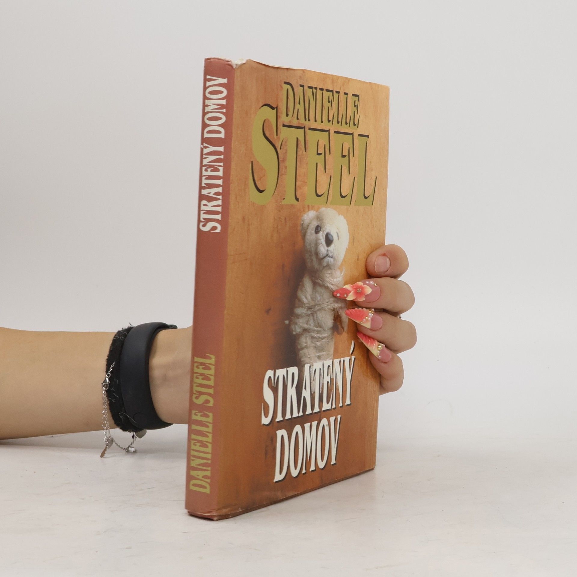 Danielle Steelová Stratený domov