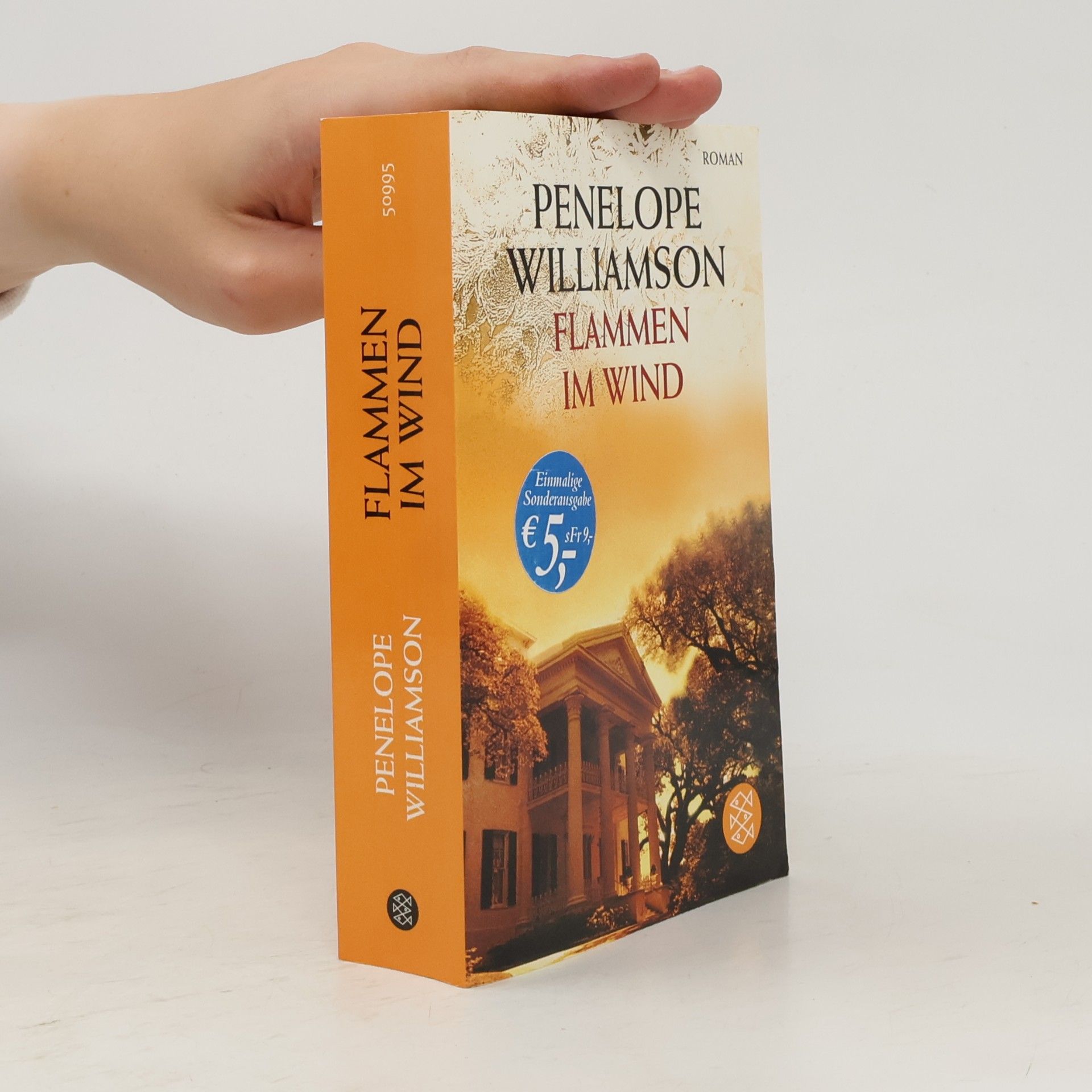 Penelope Williamson Flammen im Wind
