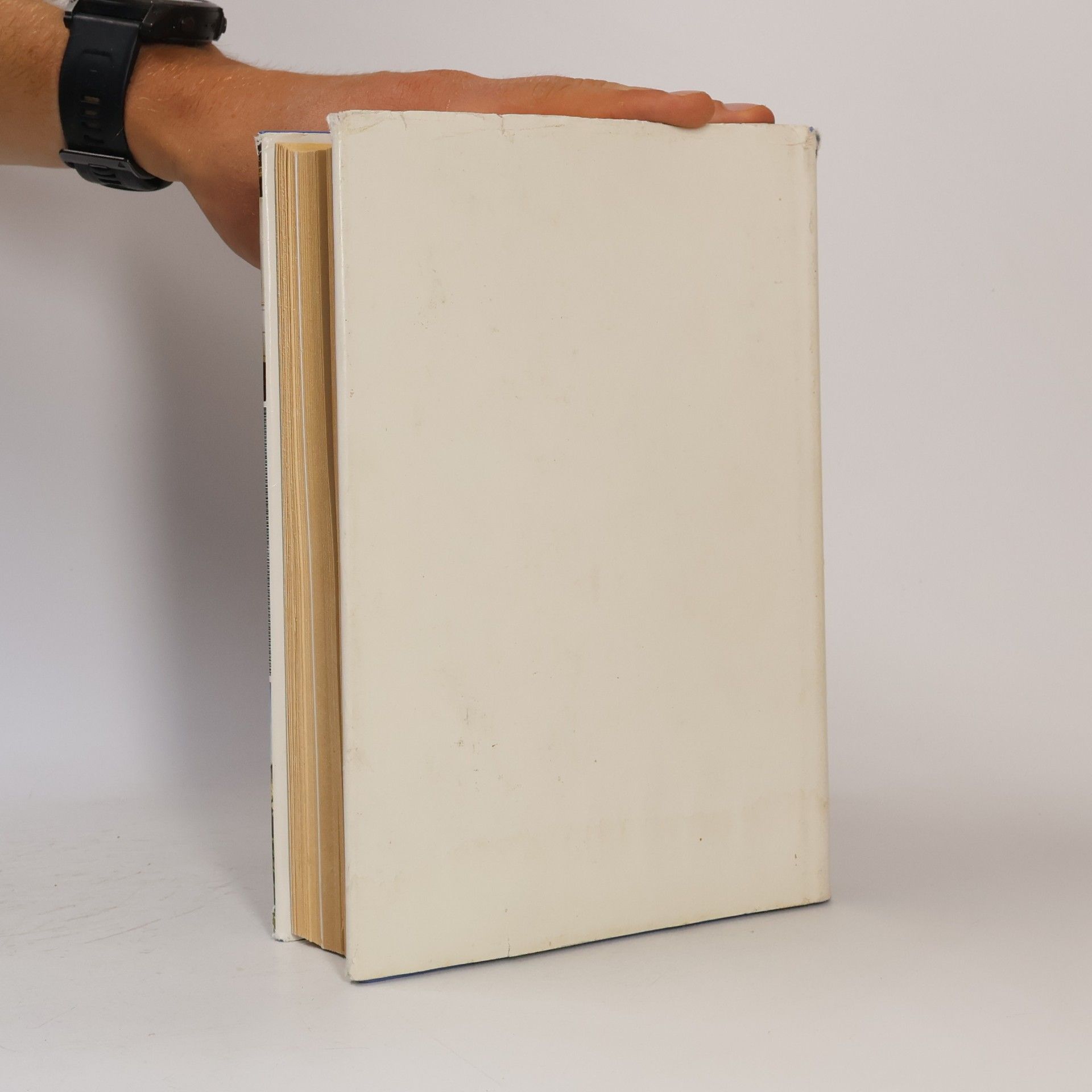 Autorenkollektiv Handbuch für das Haus