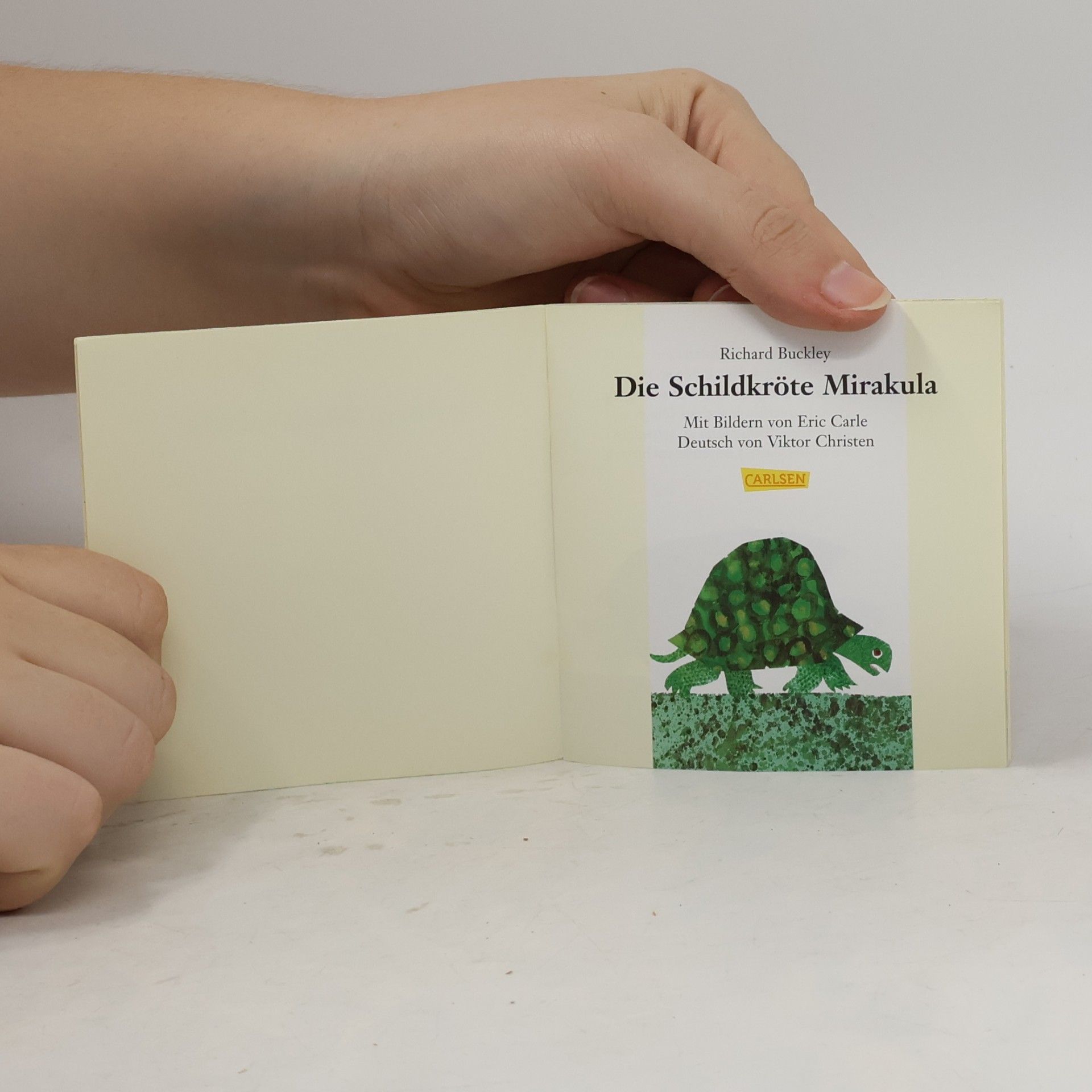Richard Buckley Die Schildkröte Mirakula