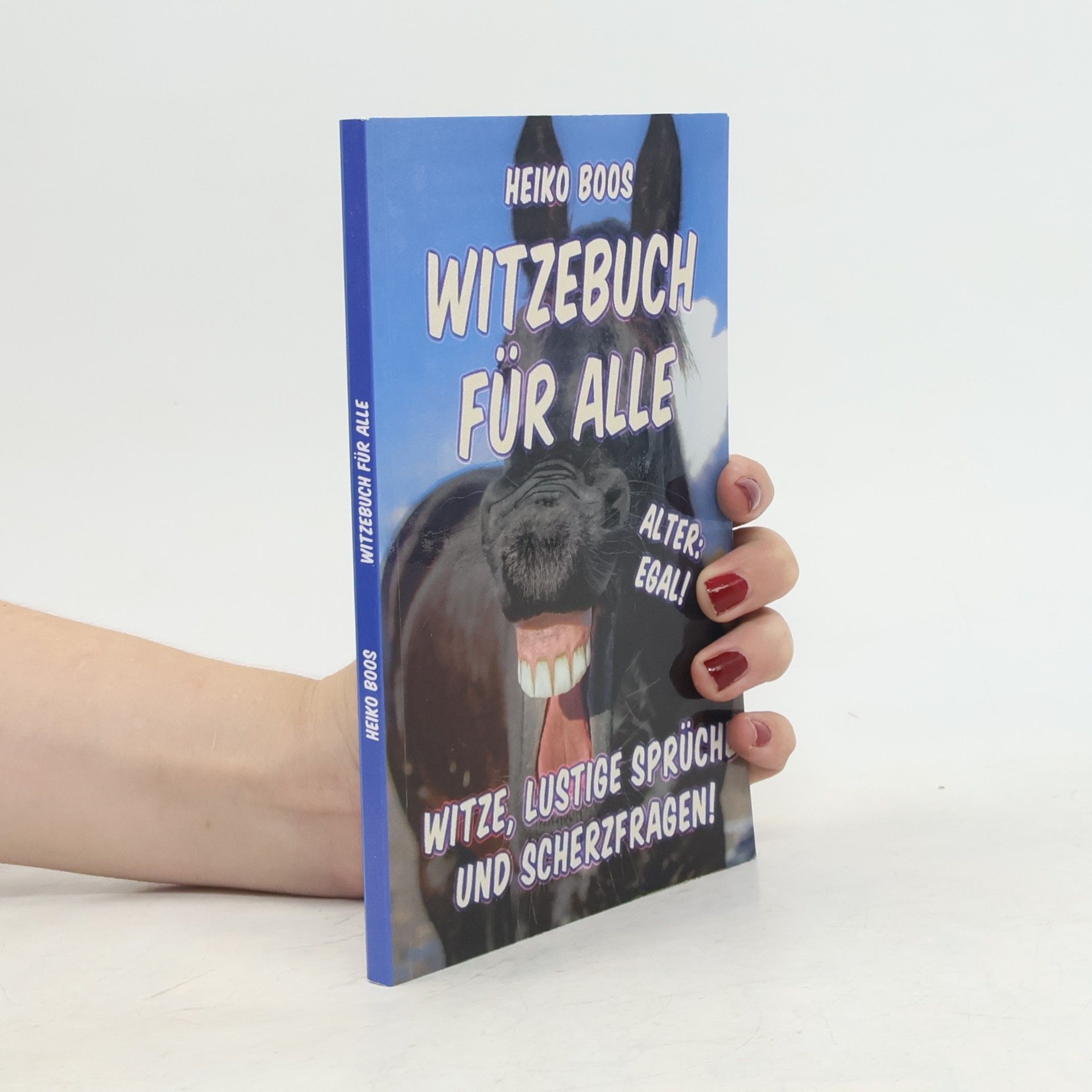 Heiko Boos Witzebuch für alle