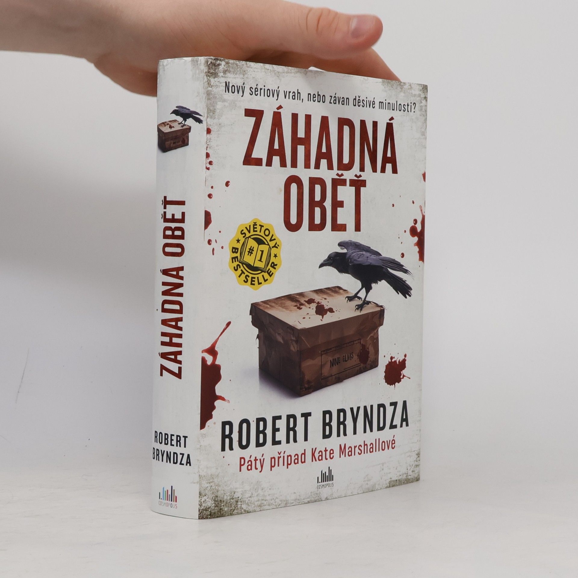 Robert Bryndza Záhadná oběť