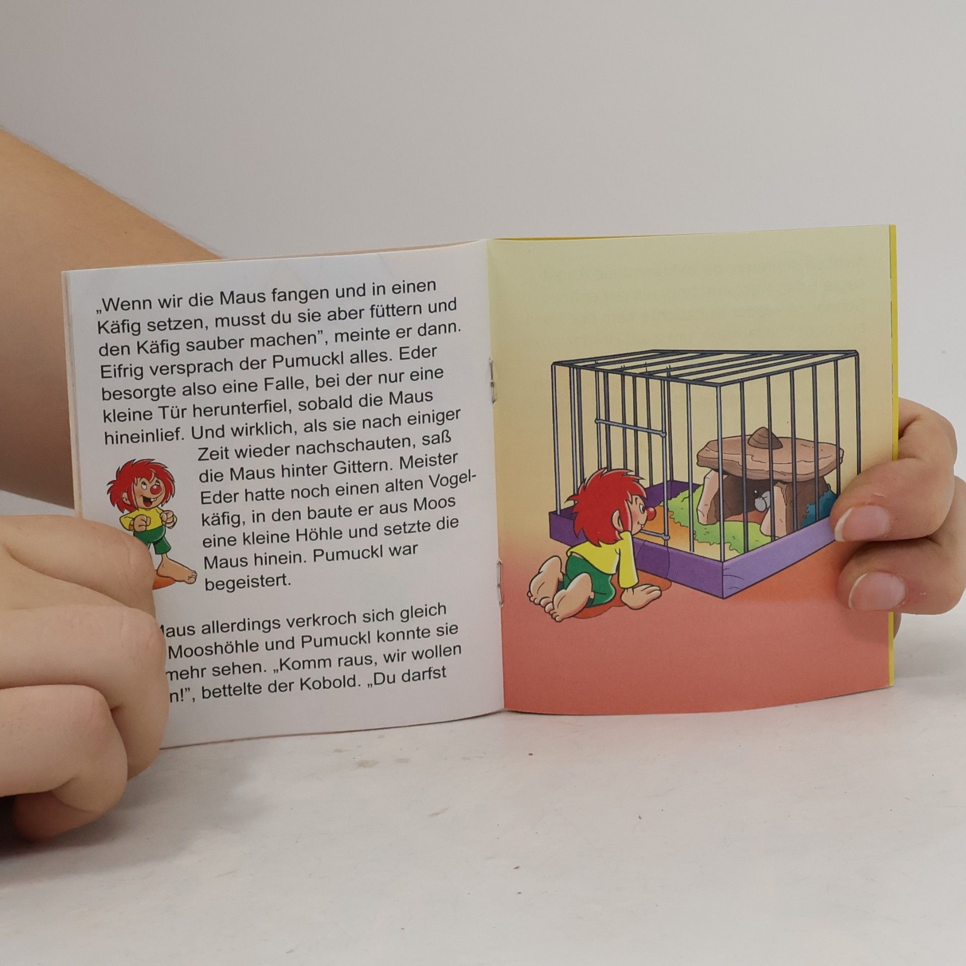 Ursula Bagnall Pumucki und die Maus