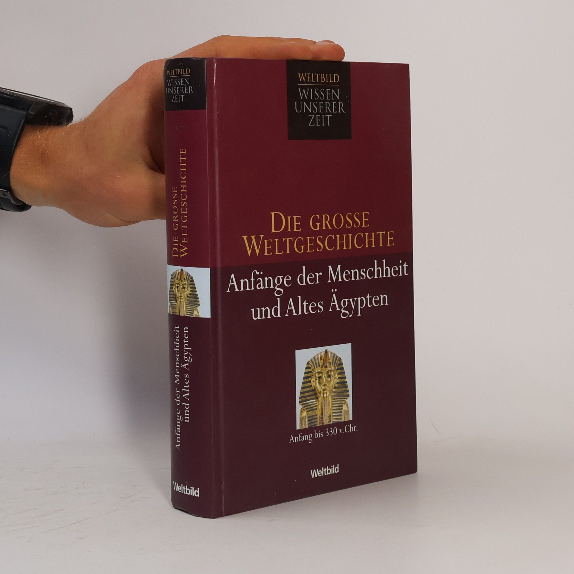 AA.VV. Die grosse Weltgeschichte: Anfänge der Menschheit und Altes Ägypten