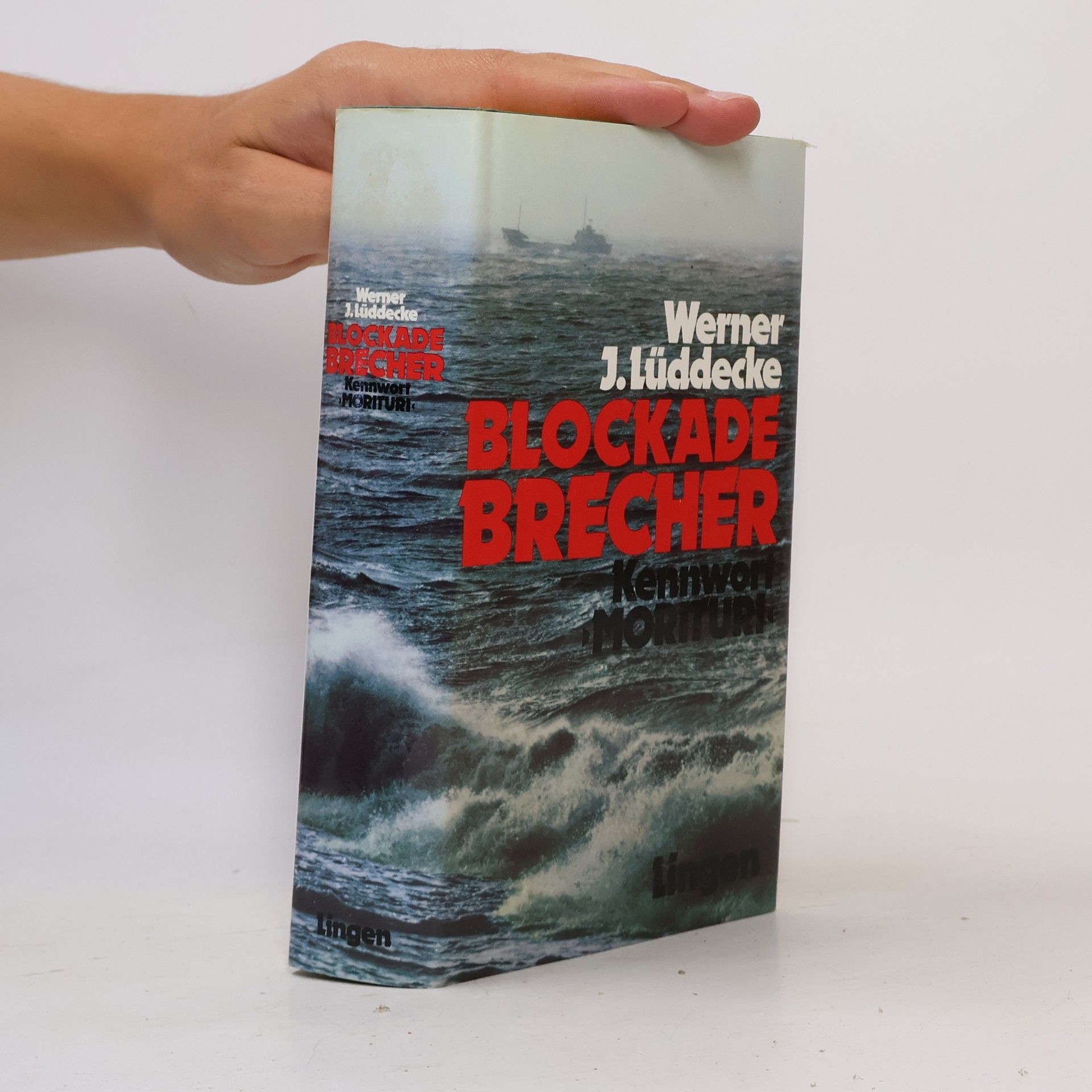 Werner J. Lüddecke Blockade Brecher