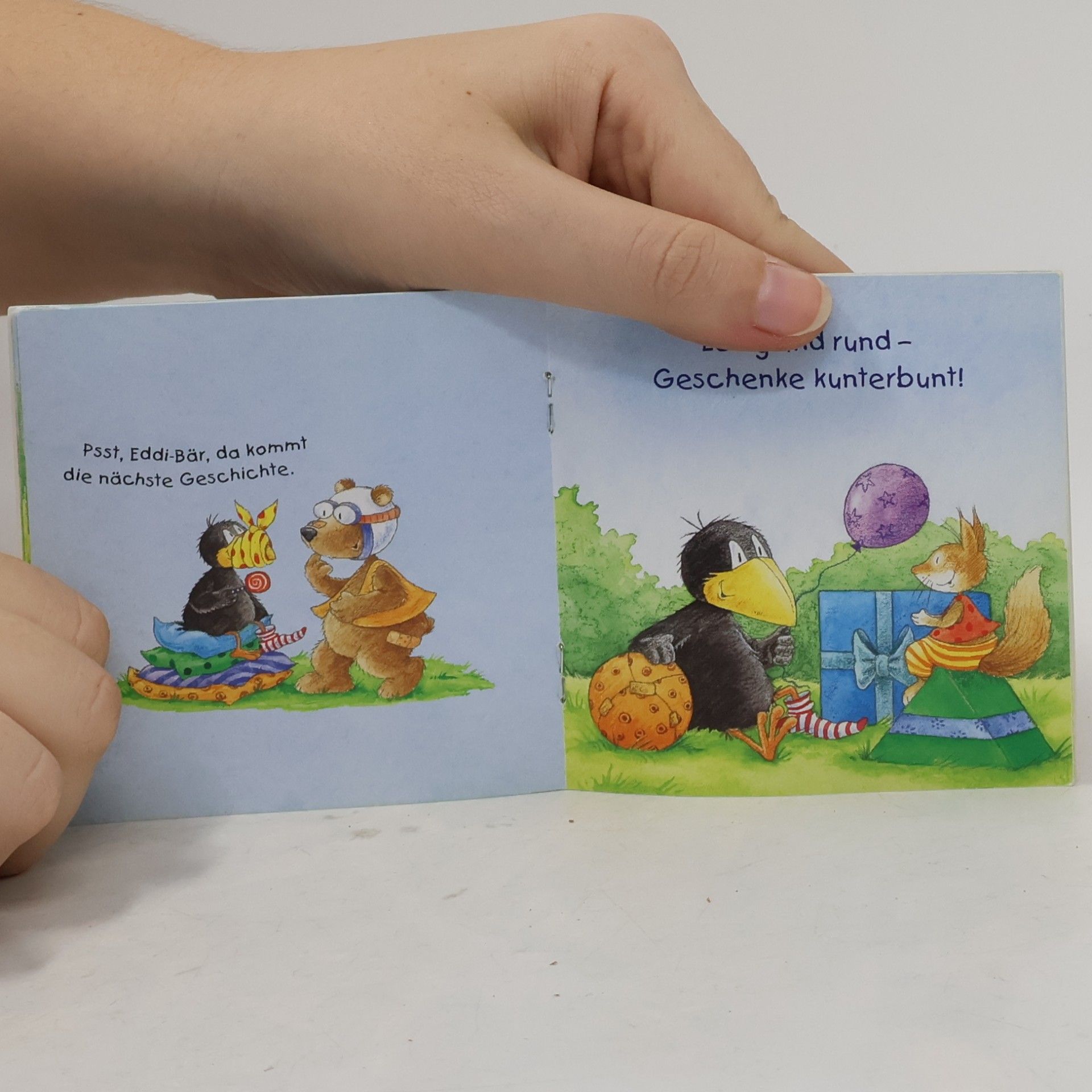 Nele Moost Der Kleine Rabe Socke und seine Schätze