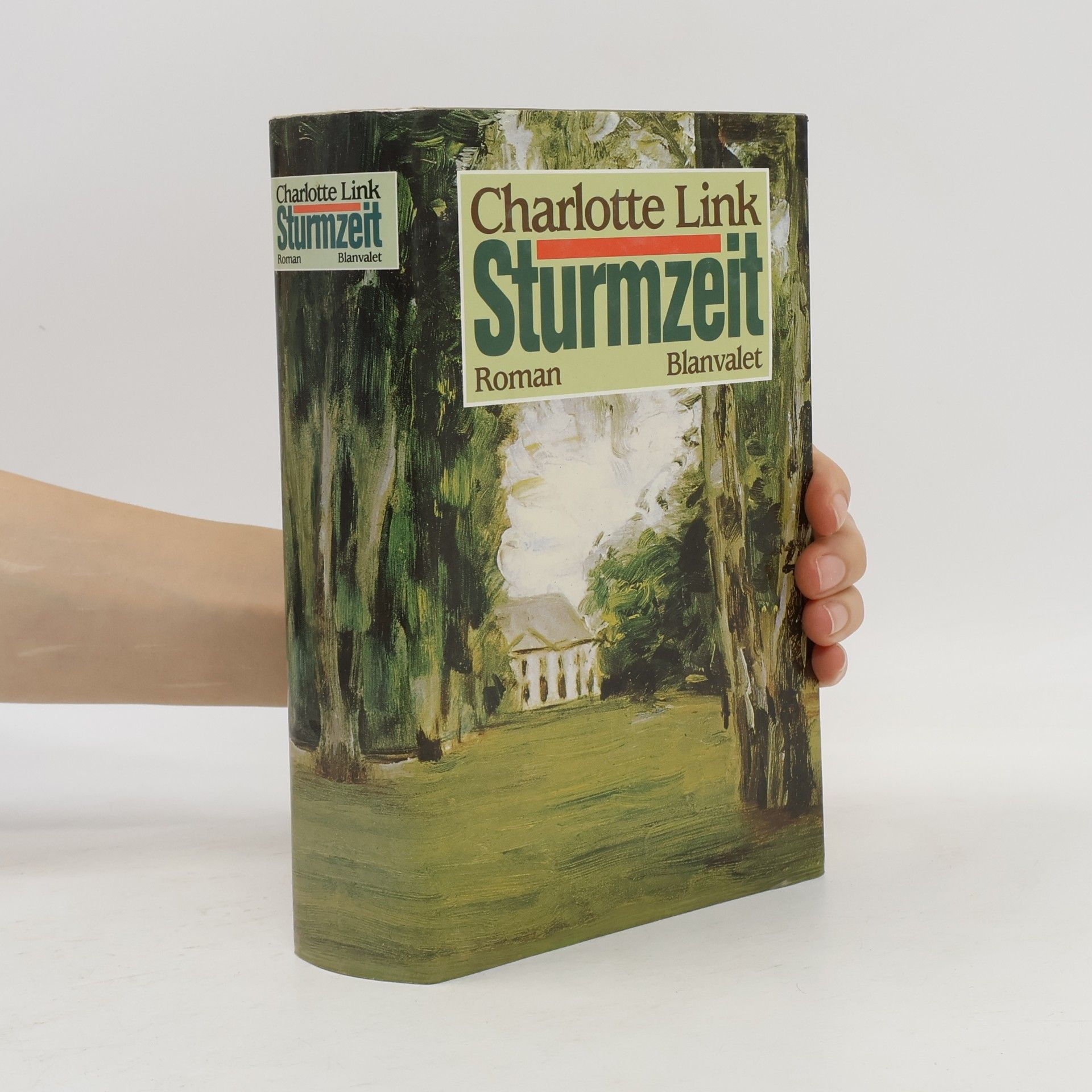 Charlotte Link Sturmzeit