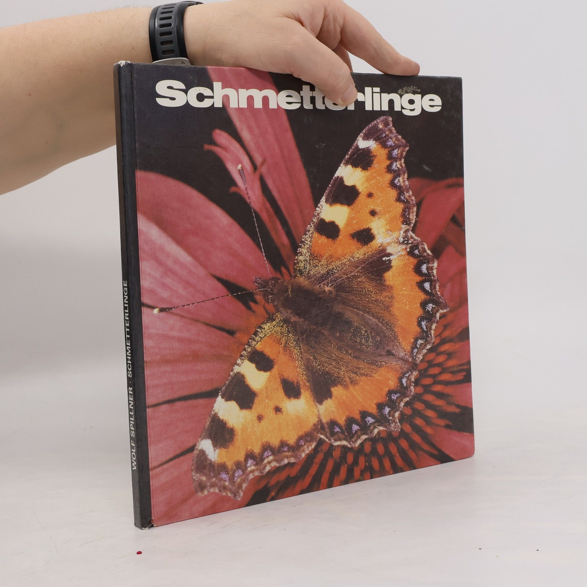Wolf Spillner Schmetterlinge