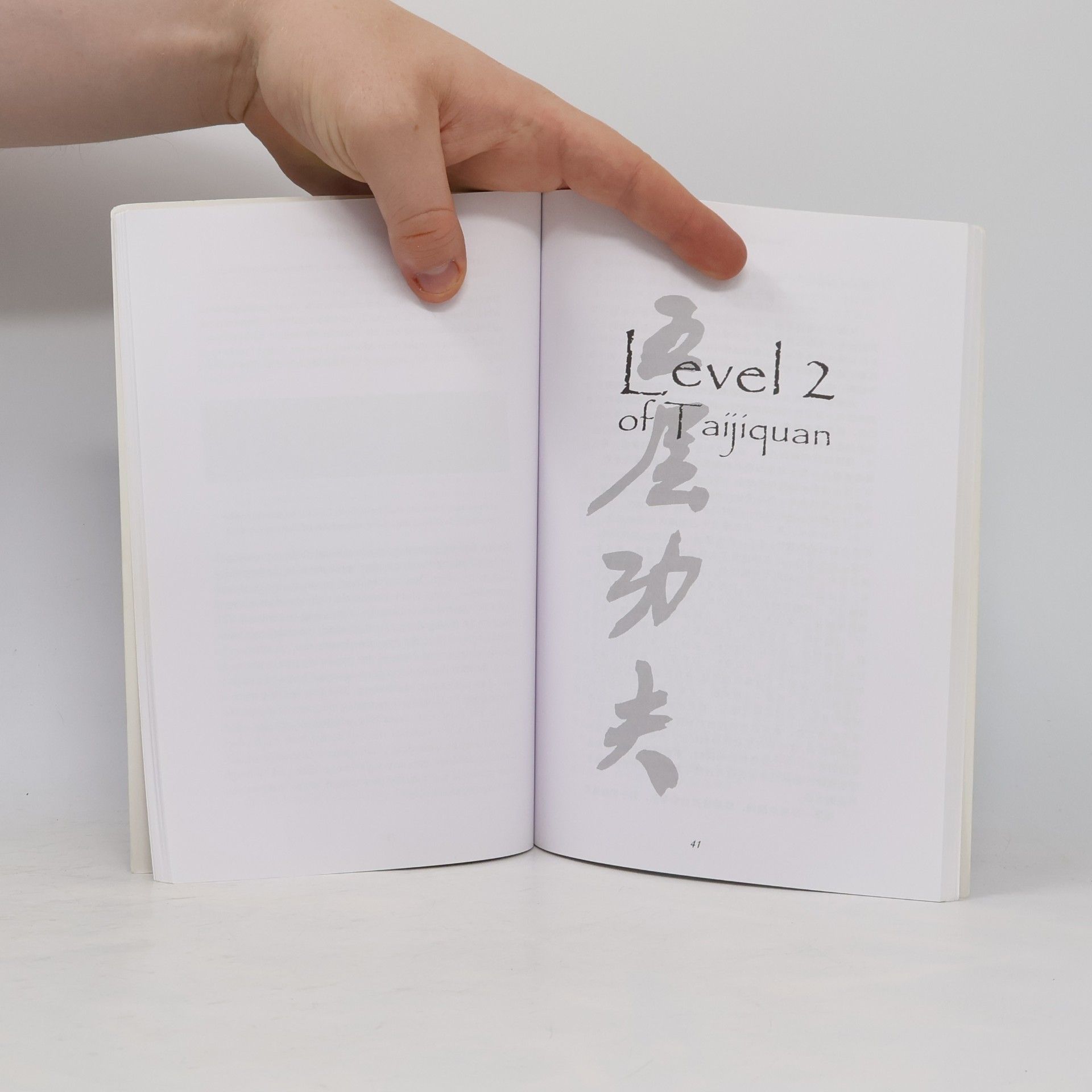 Chen Xiaowang The Five Levels of Taijiquan