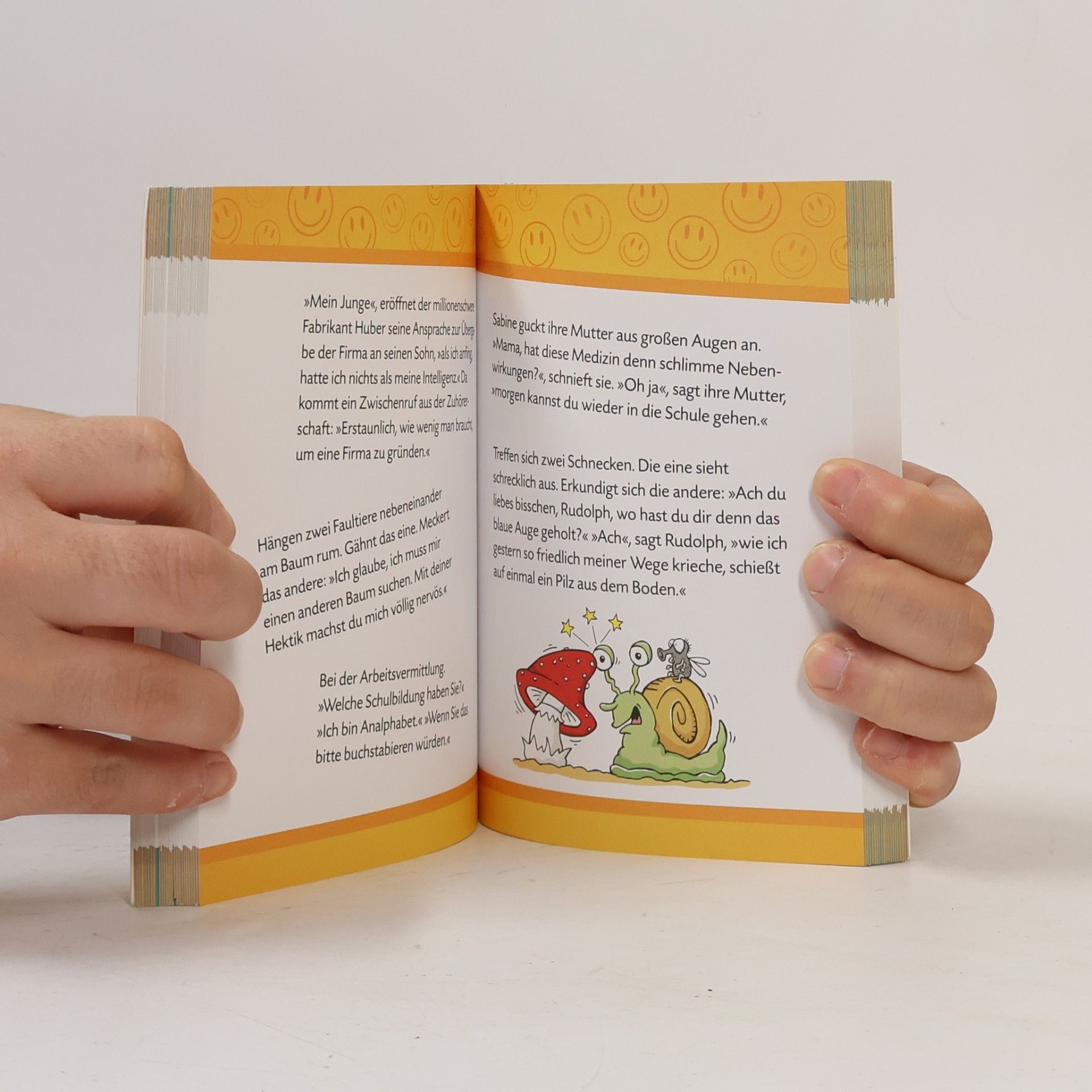 Ute Löwenberg Mein dickes Witzebuch