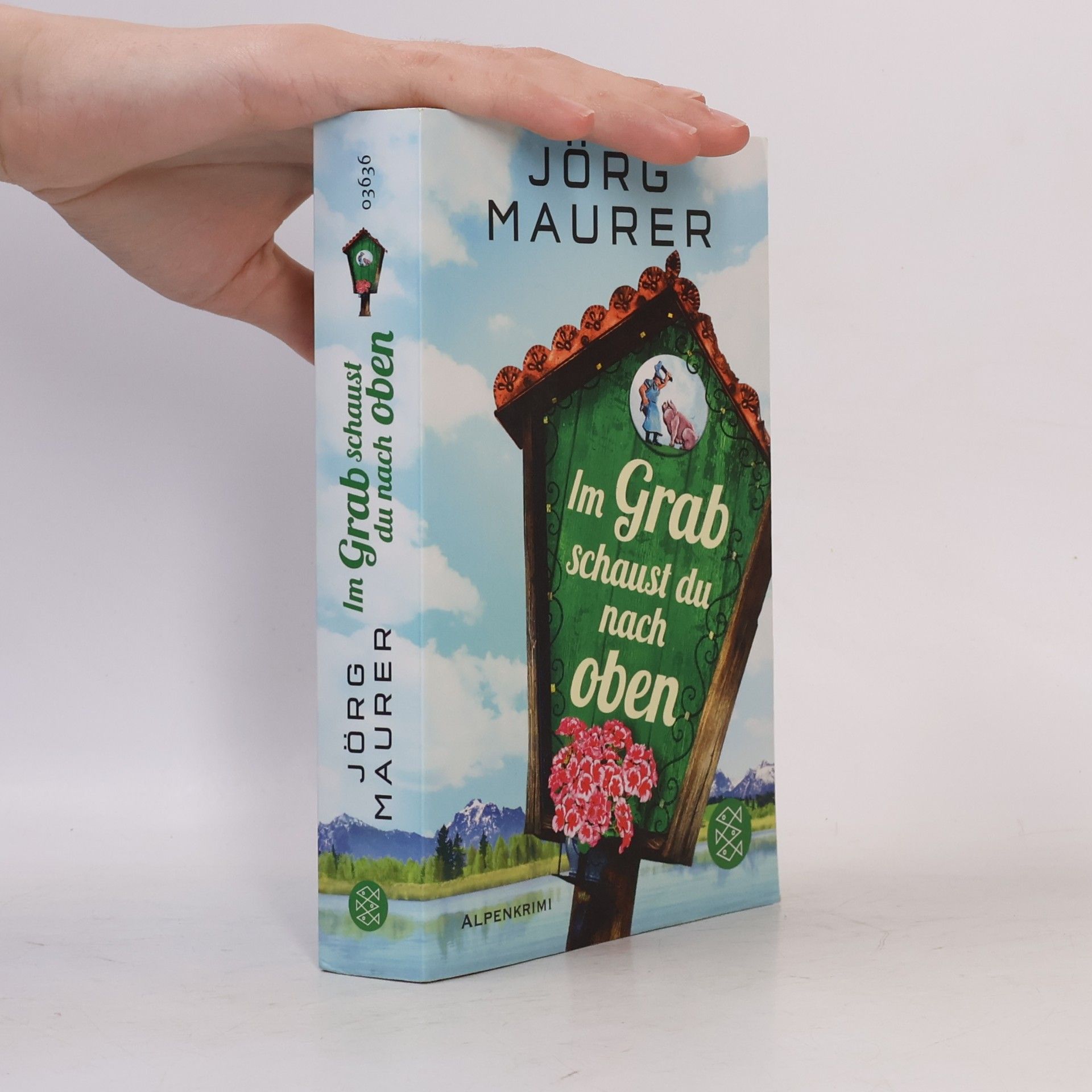 Jörg Maurer Im Grab schaust du nach oben