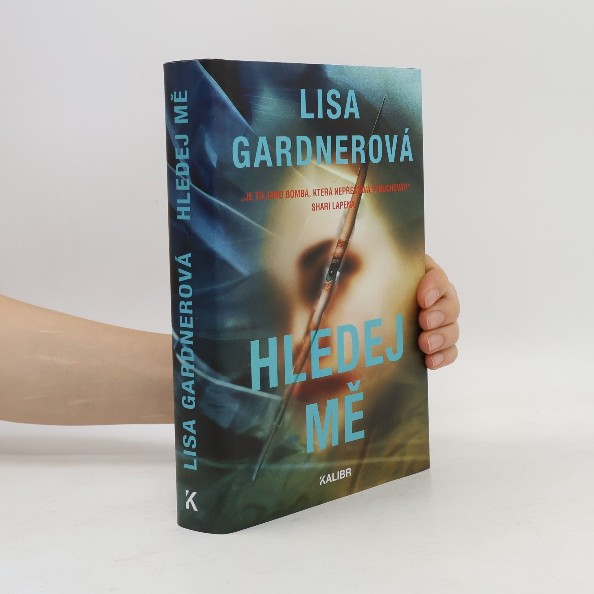 Lisa Gardner Hledej mě