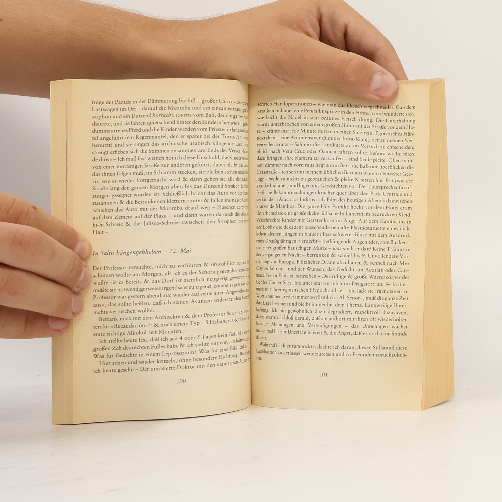 Allen Ginsberg Allen Ginsbergs Notizbücher