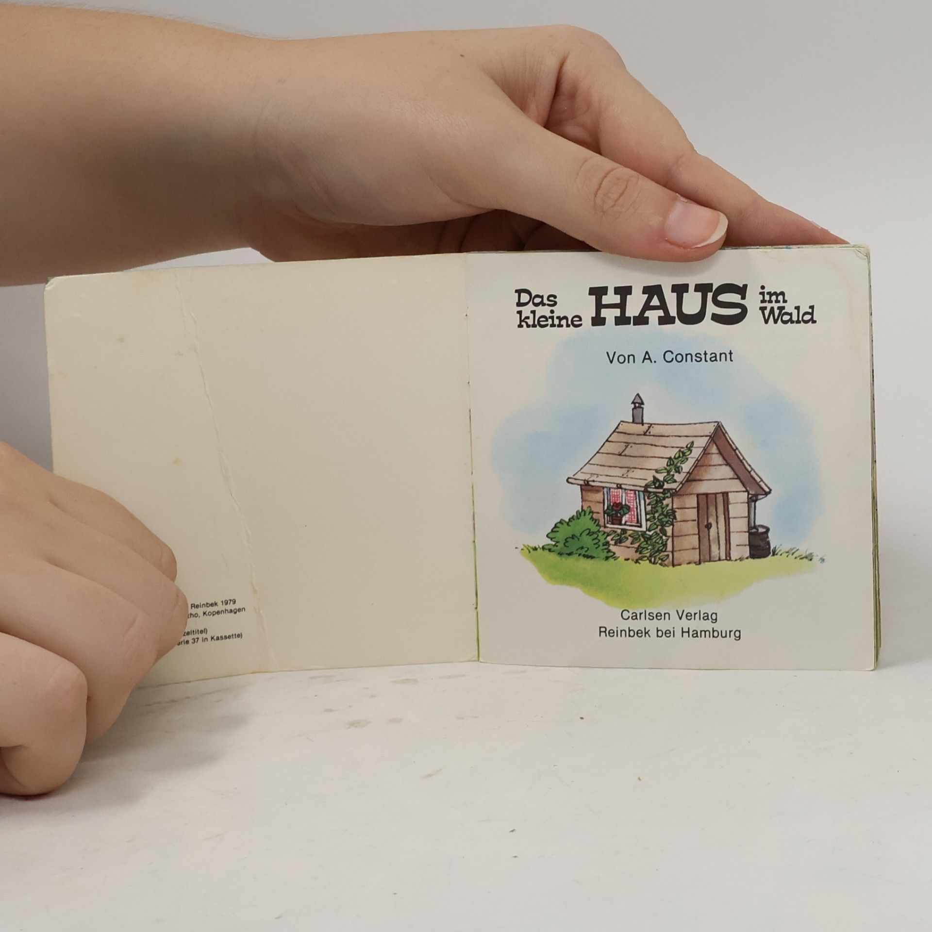 A. Constant Das kleine Haus im Wald