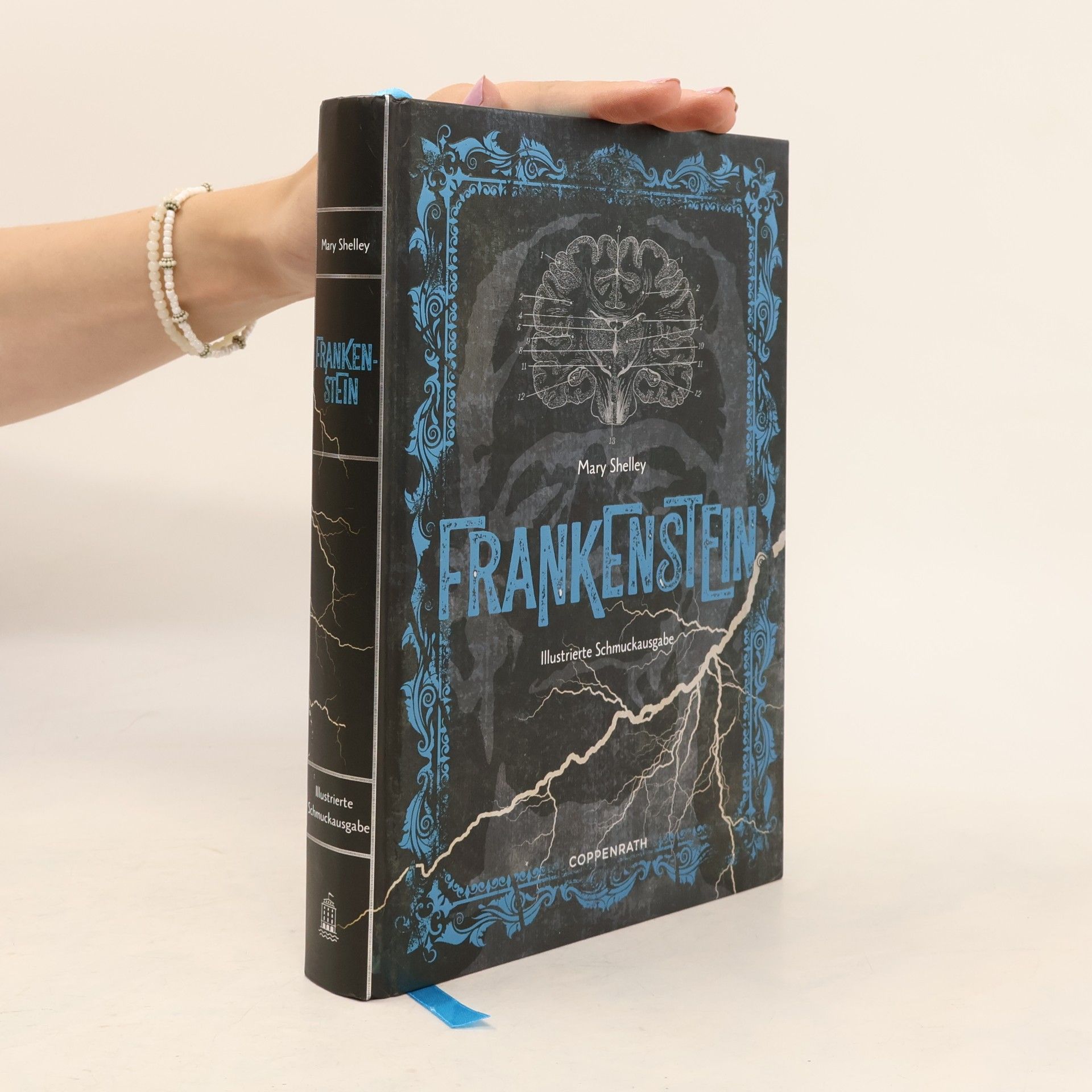 Mary Shelley Frankenstein – Illustrierte Schmuckausgabe