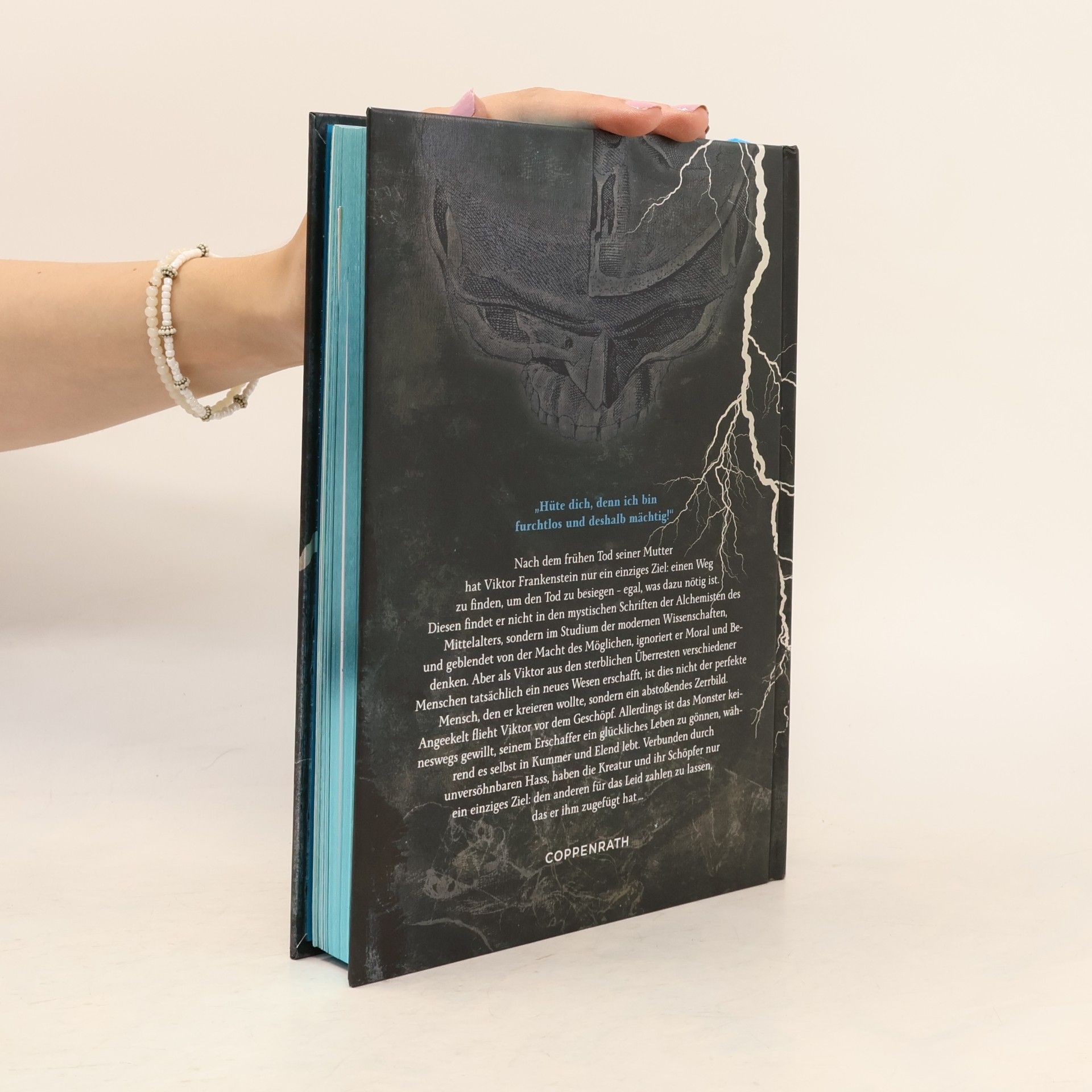 Mary W. Shelley Frankenstein – Illustrierte Schmuckausgabe