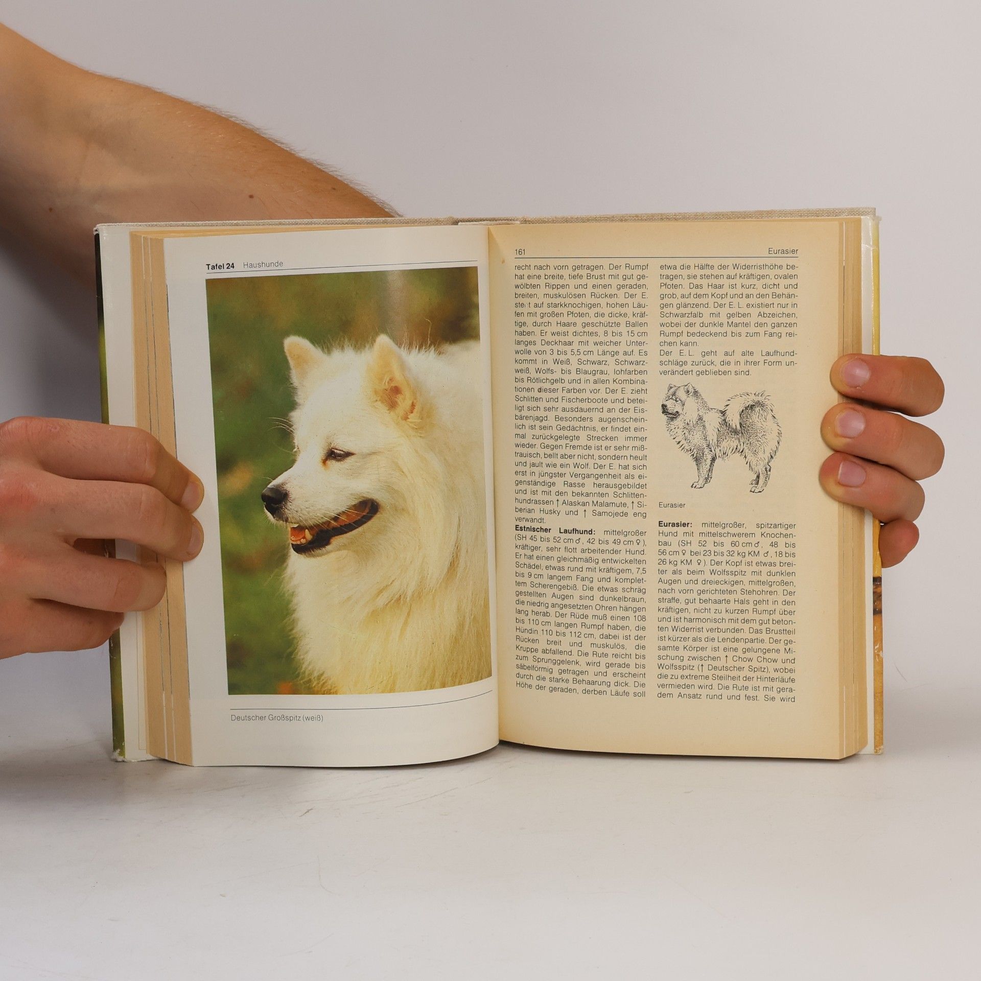 Hans Joachim Swarovsky Hunde rassen. Bi-Lexikon