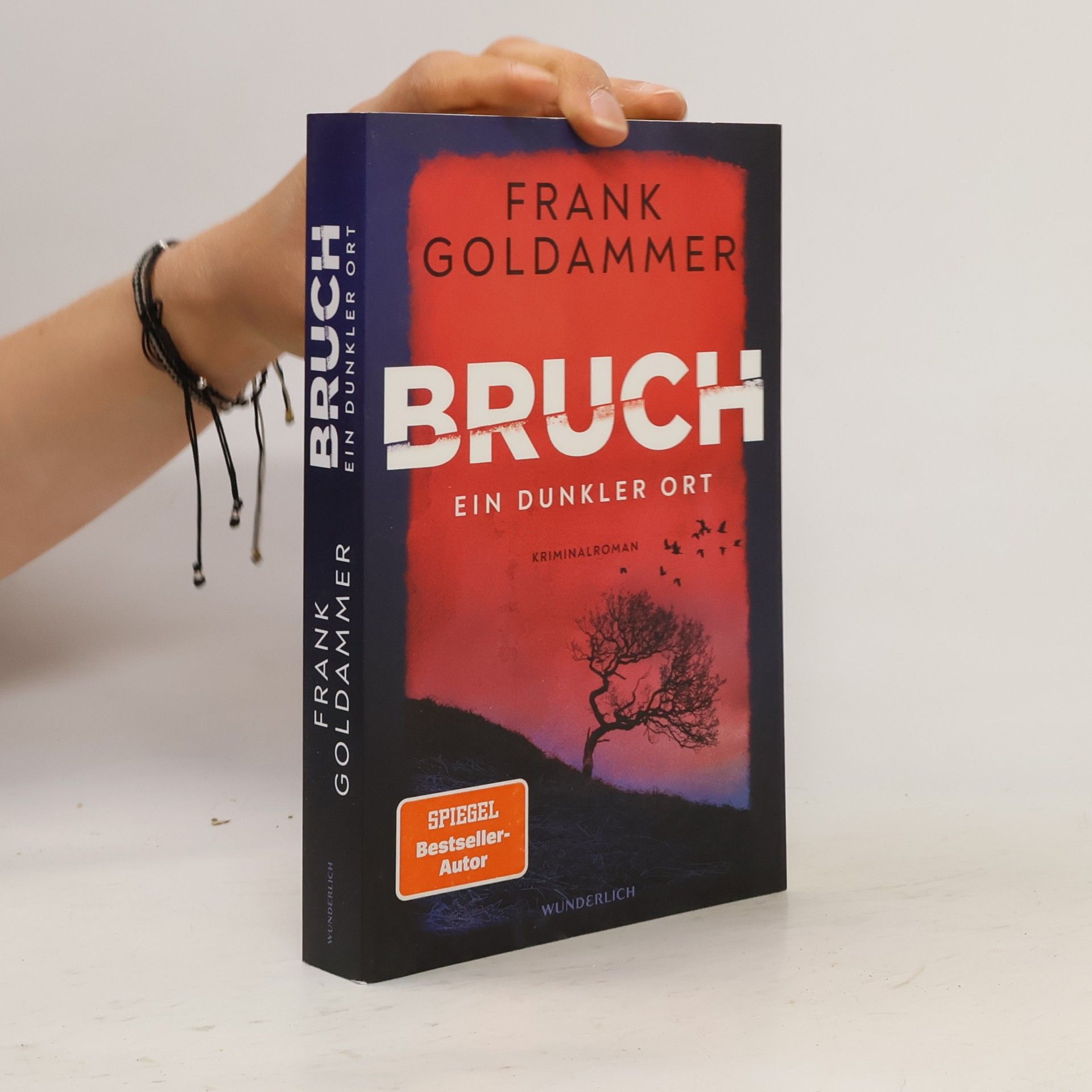 Frank Goldammer Bruch - ein dunkler Ort