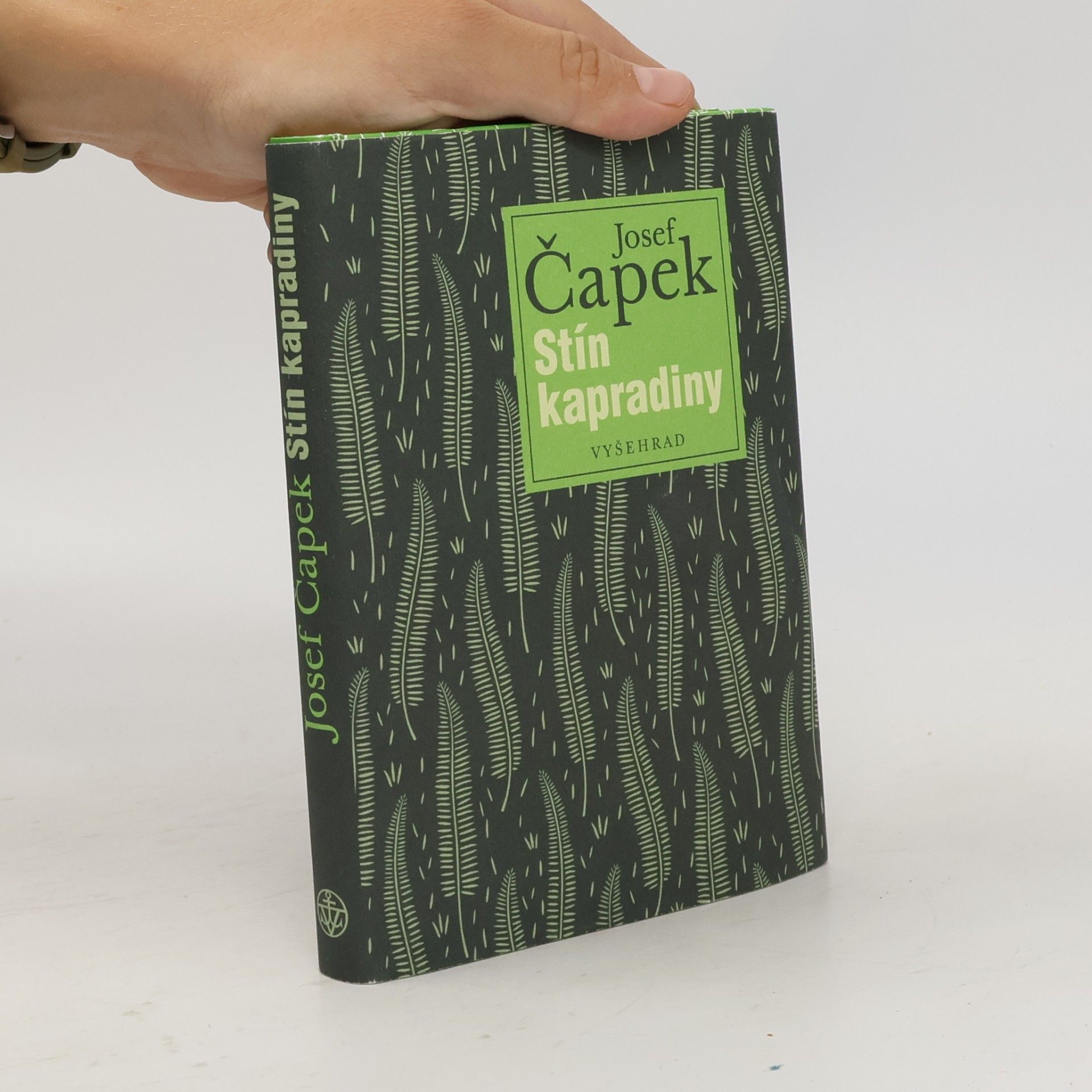 Josef Čapek Stín kapradiny