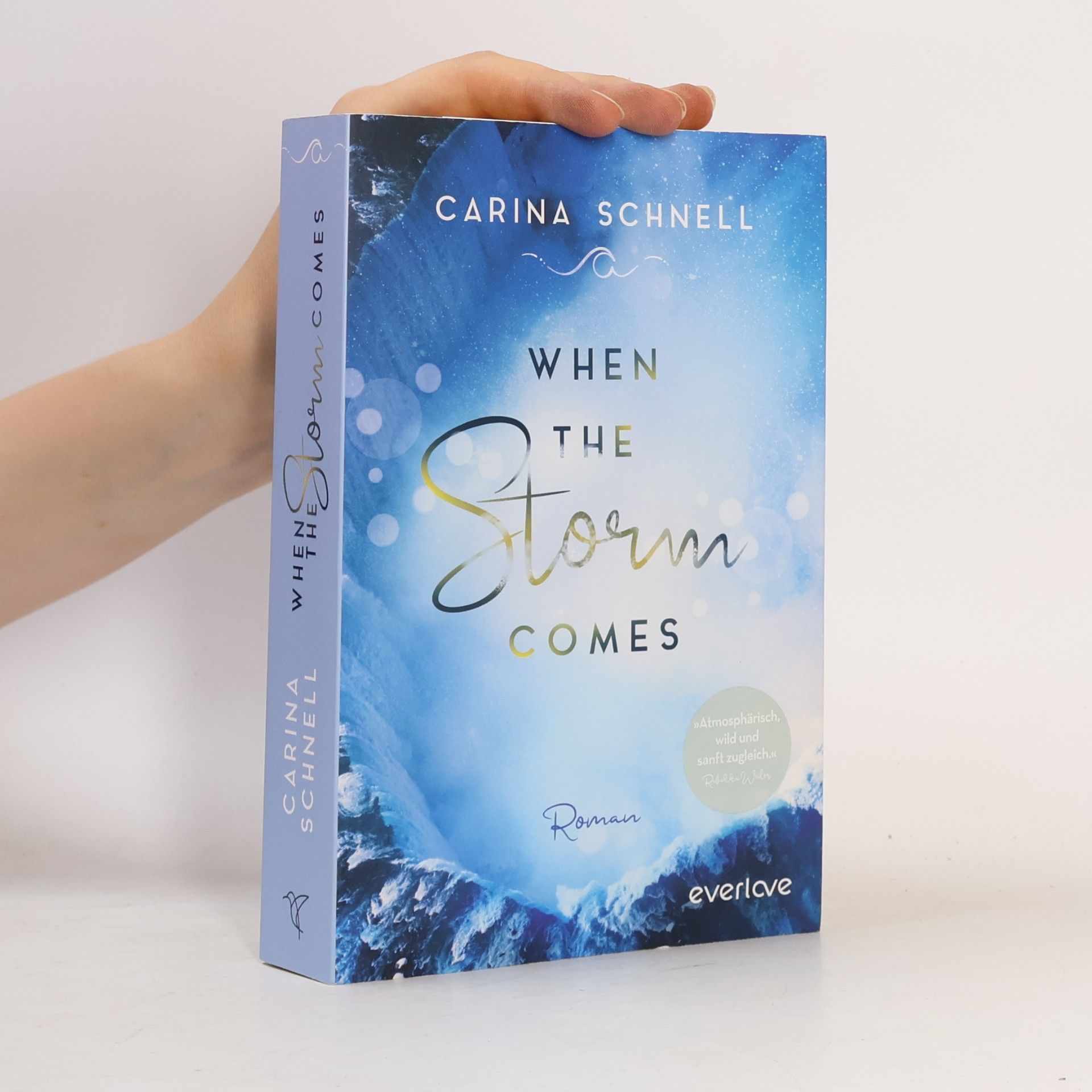 Karina Schnell When the storm comes