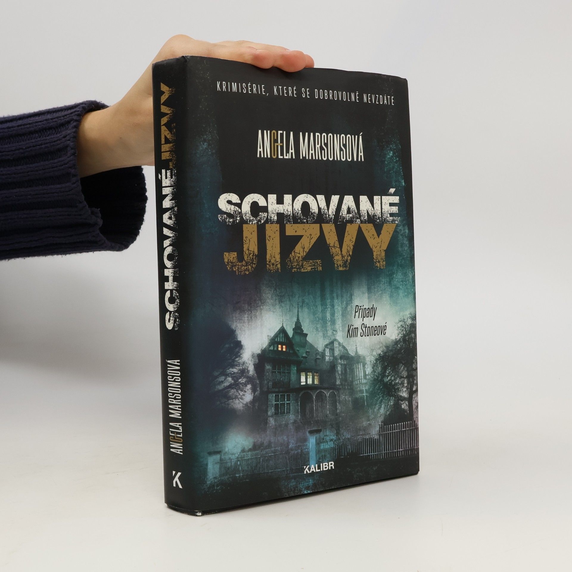 Angela Marsons Schované jizvy
