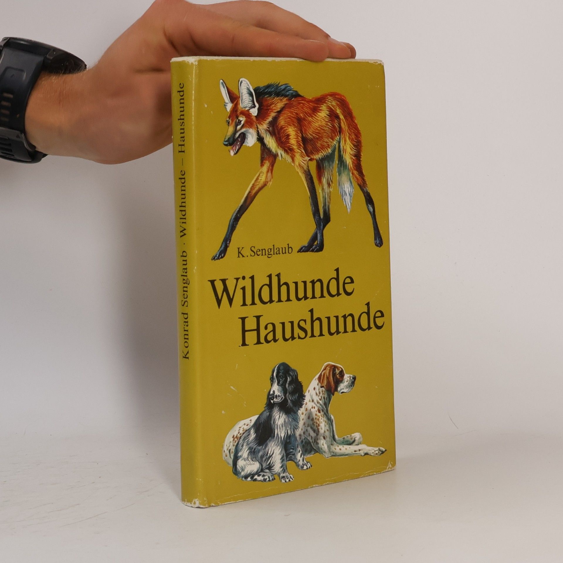 K. Senglaub Wildhunde Haushunde