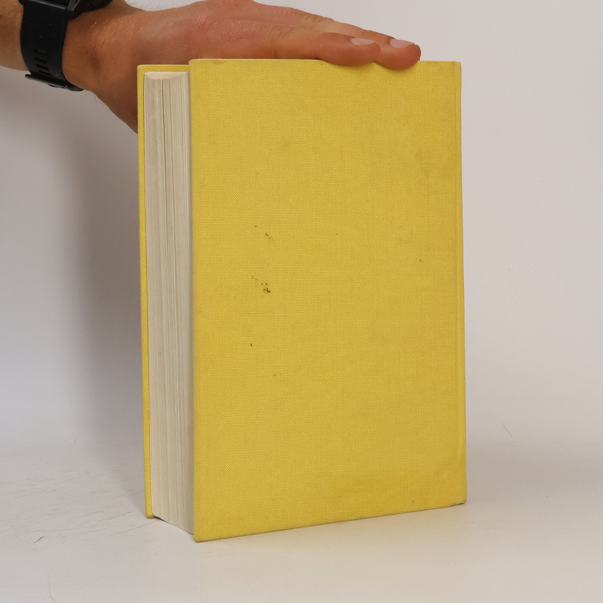 Autorenkollektiv Großes Fremdwörterbuch