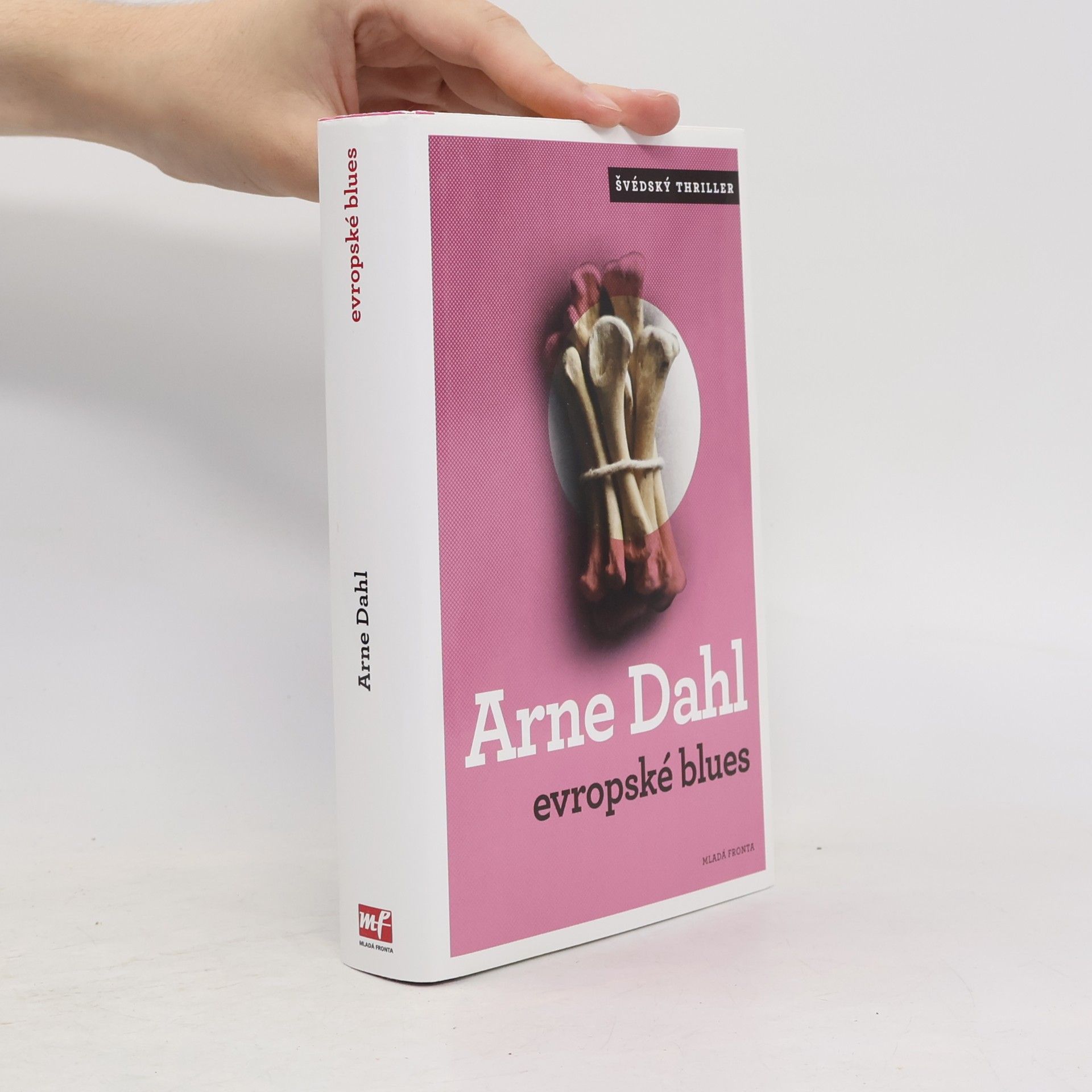 Arne Dahl Evropské blues